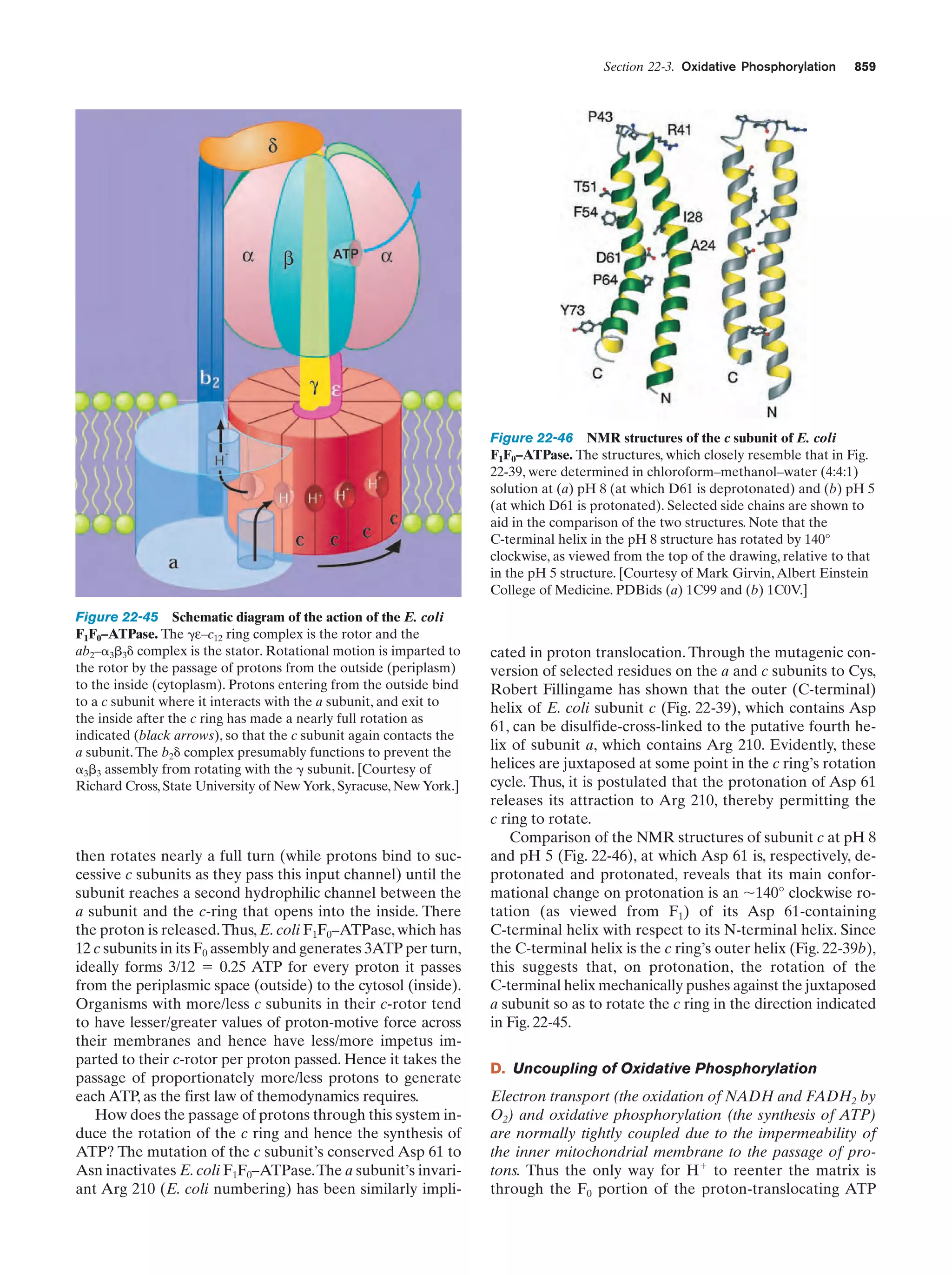Biochemistry.4th.edition
