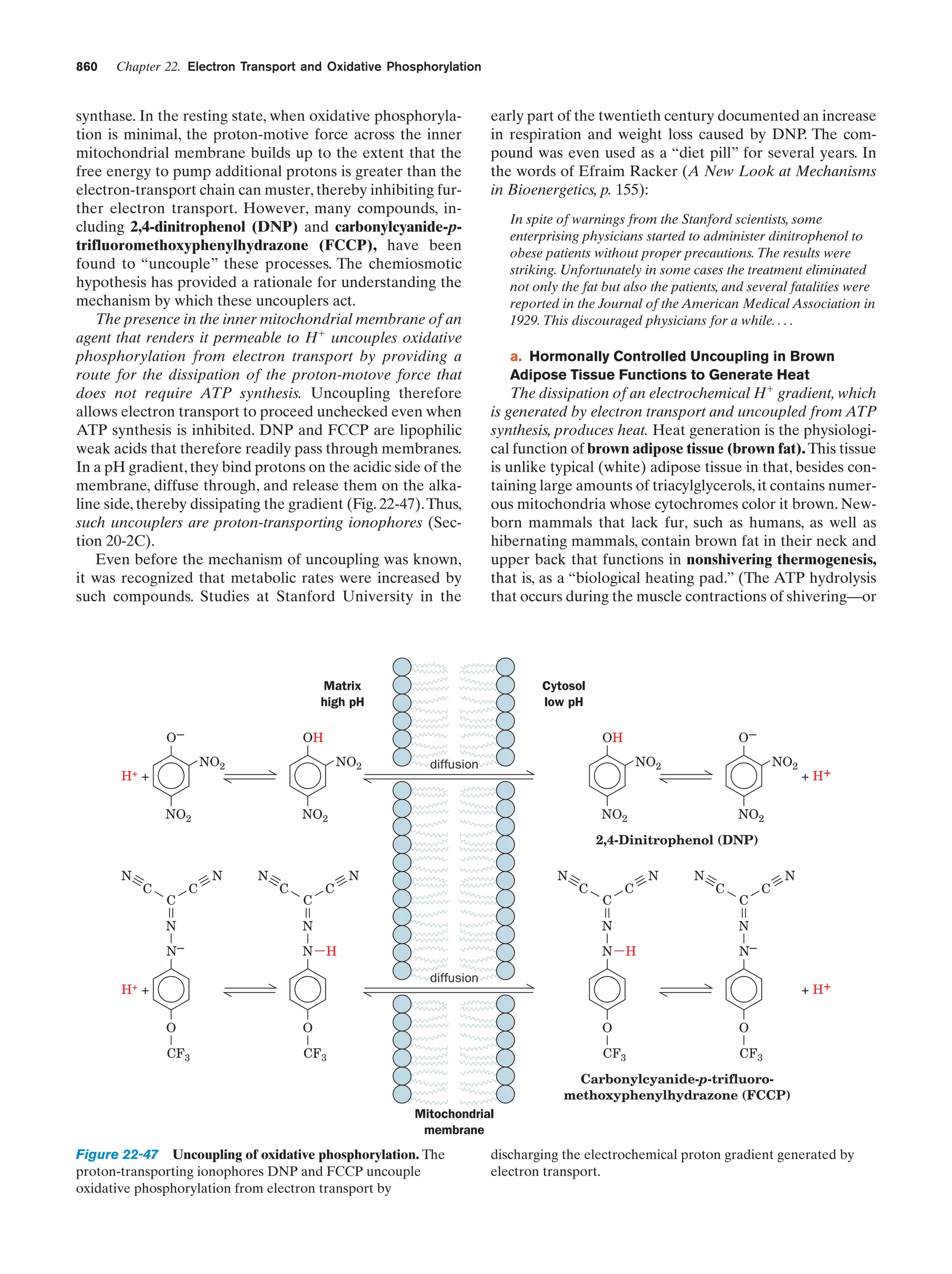 Biochemistry.4th.edition