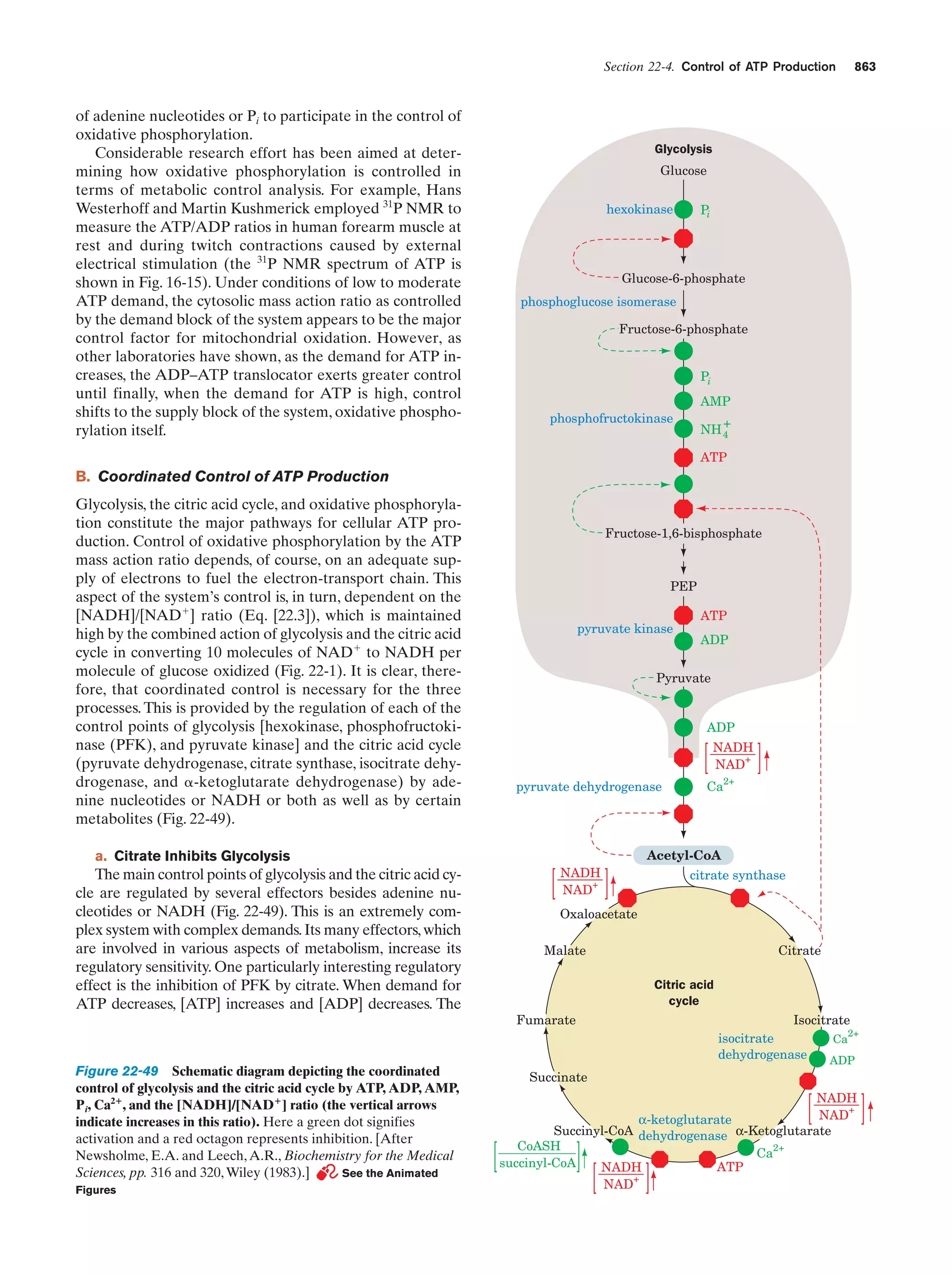 Biochemistry.4th.edition