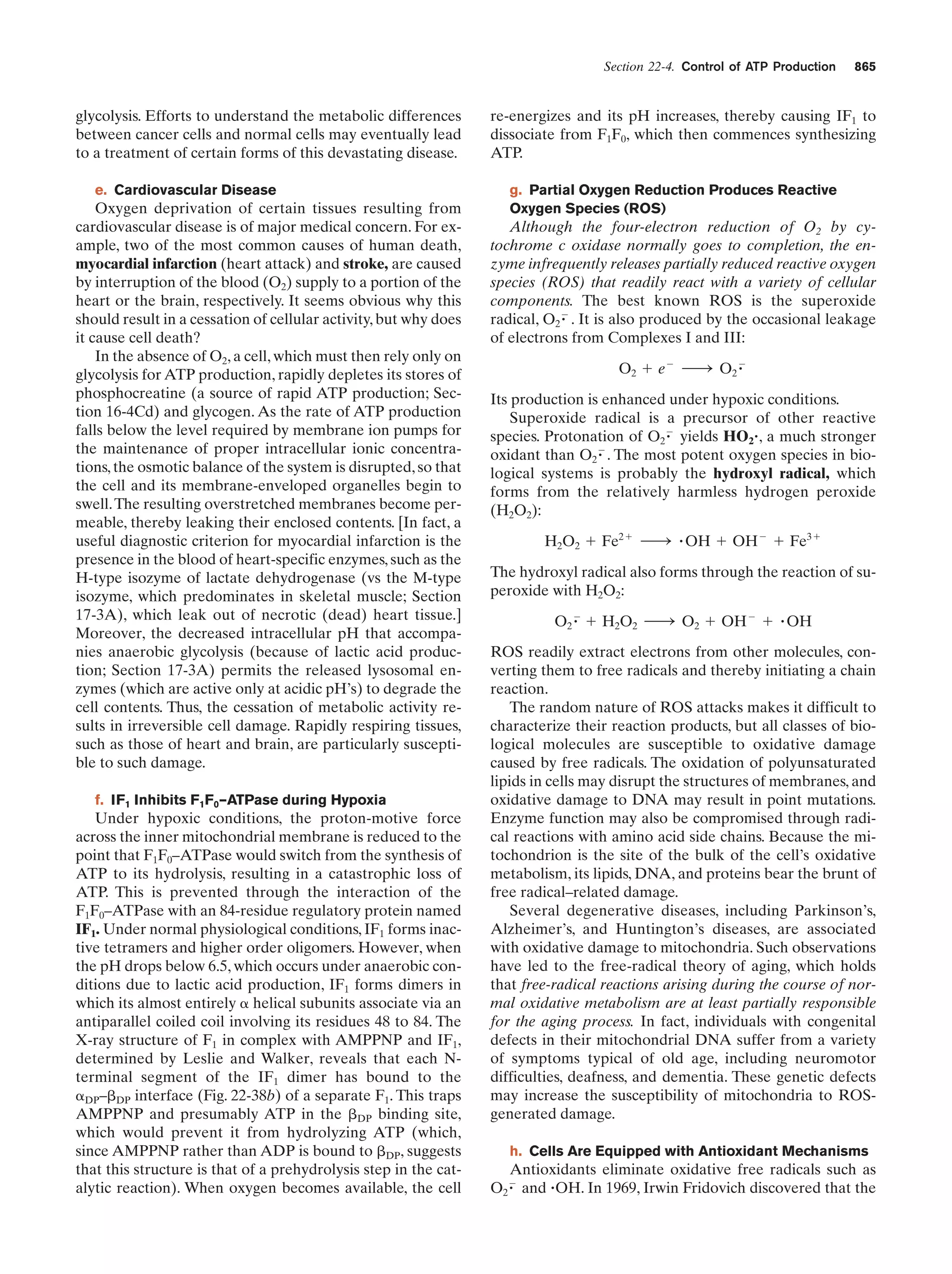 Biochemistry.4th.edition