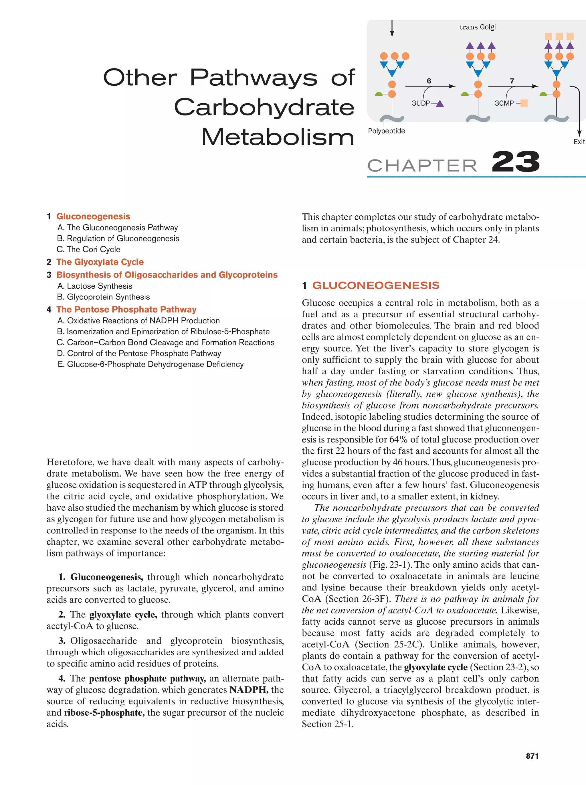 Biochemistry.4th.edition