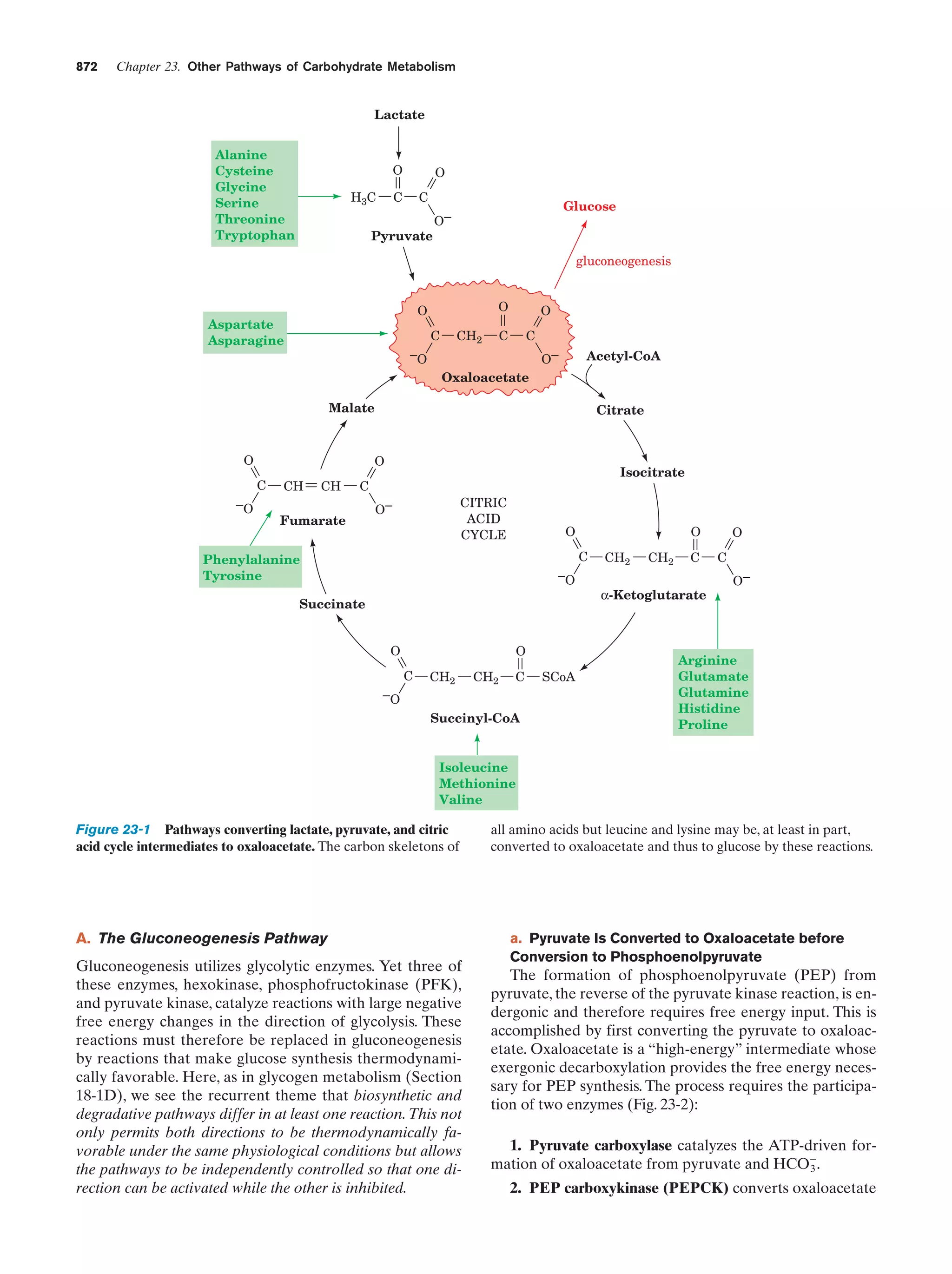 Biochemistry.4th.edition