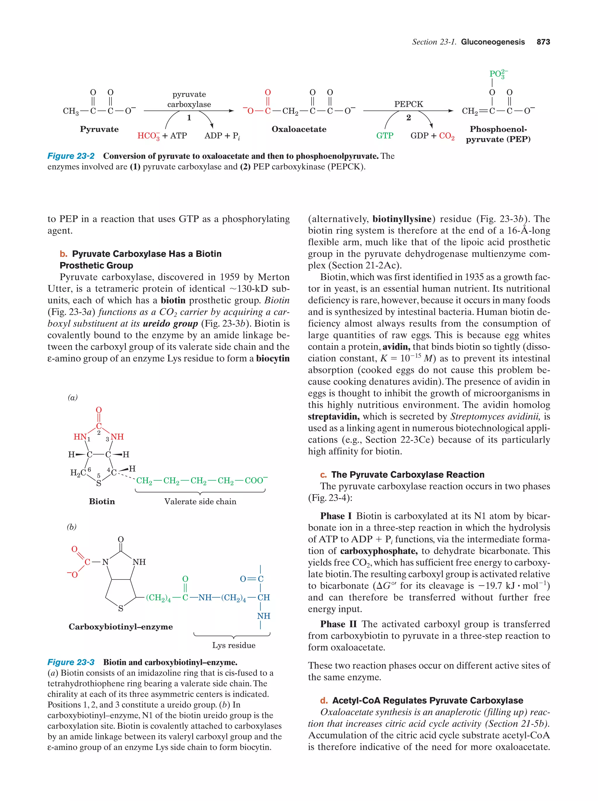 Biochemistry.4th.edition