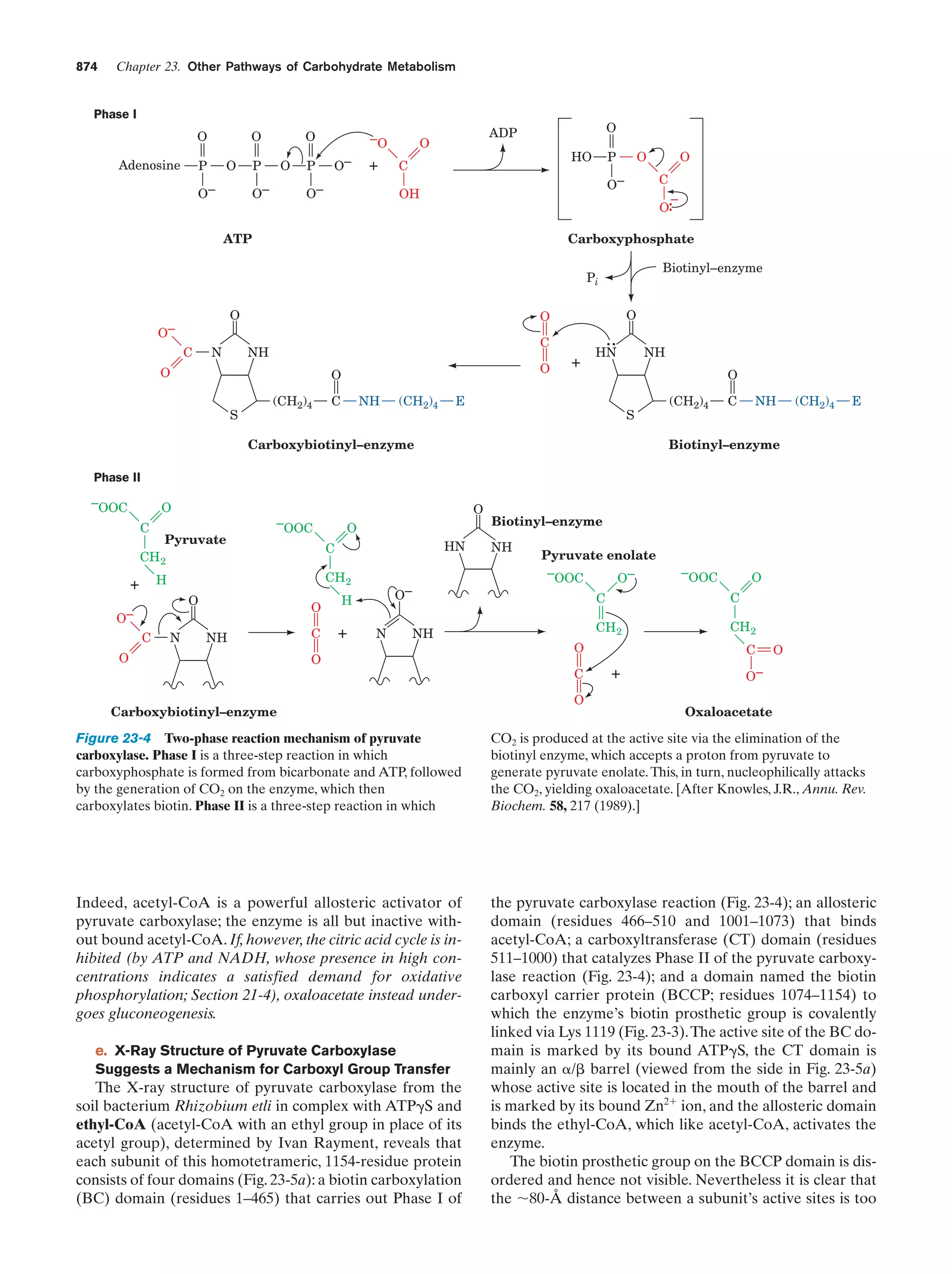 Biochemistry.4th.edition