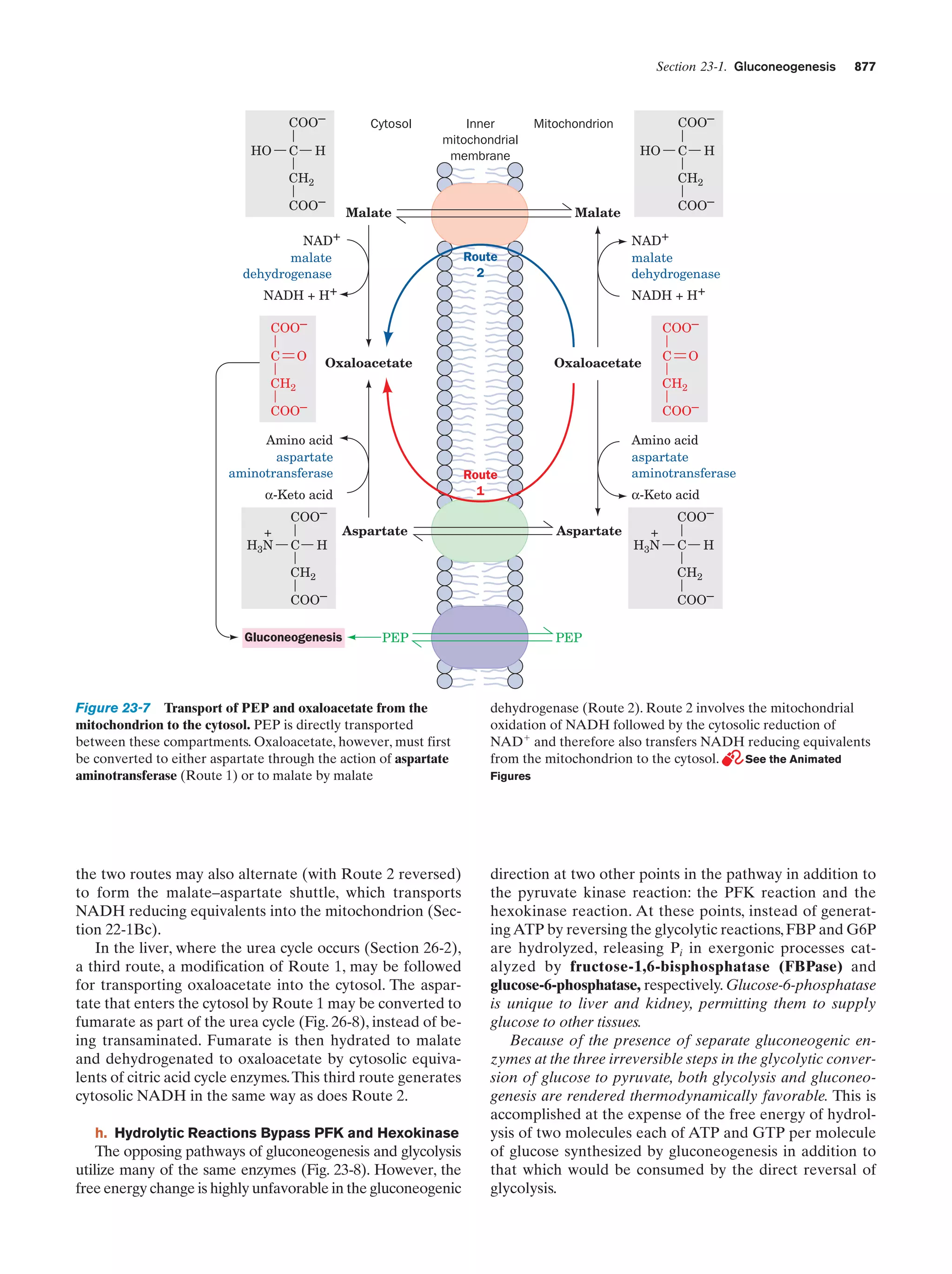 Biochemistry.4th.edition