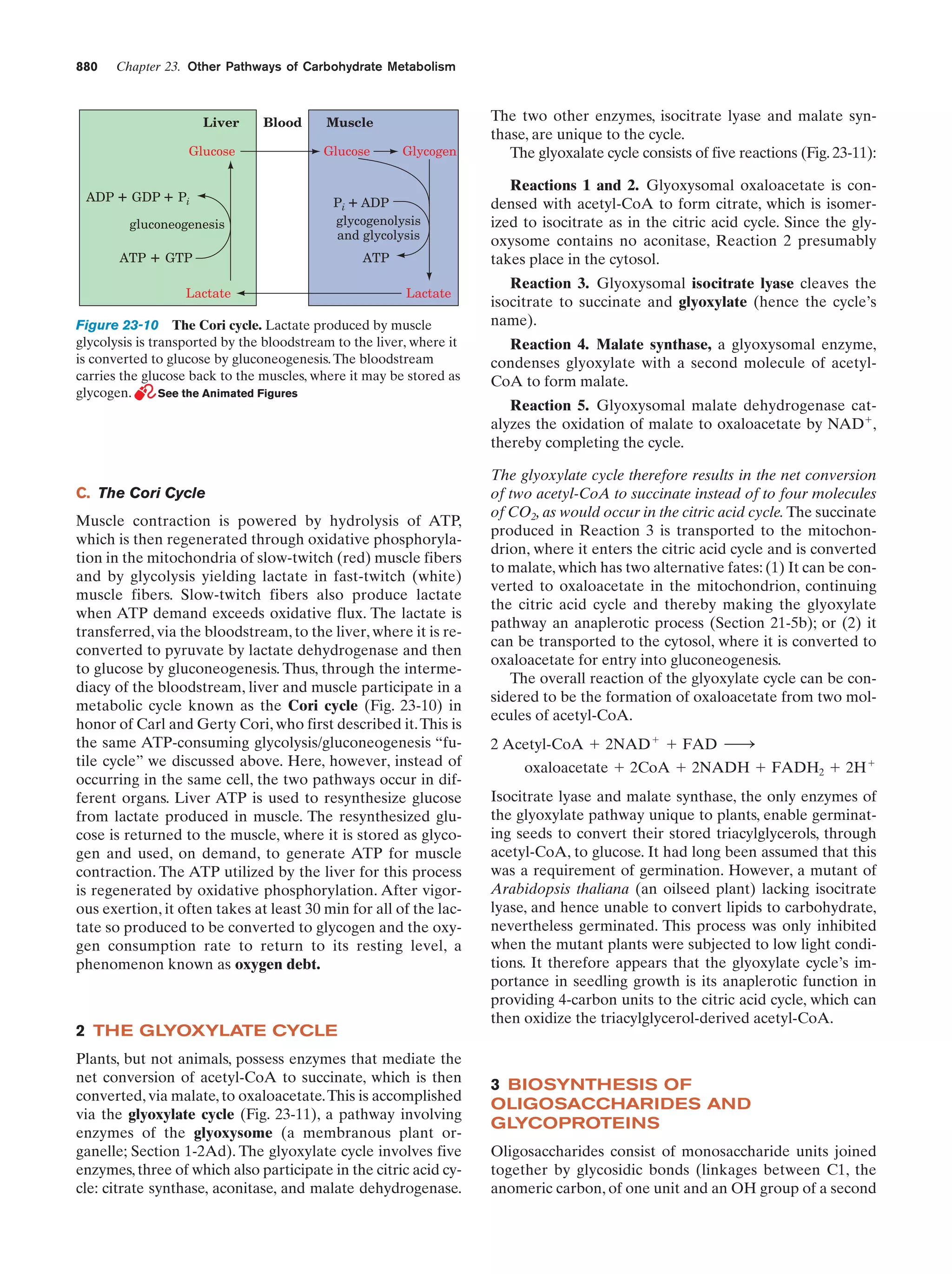 Biochemistry.4th.edition