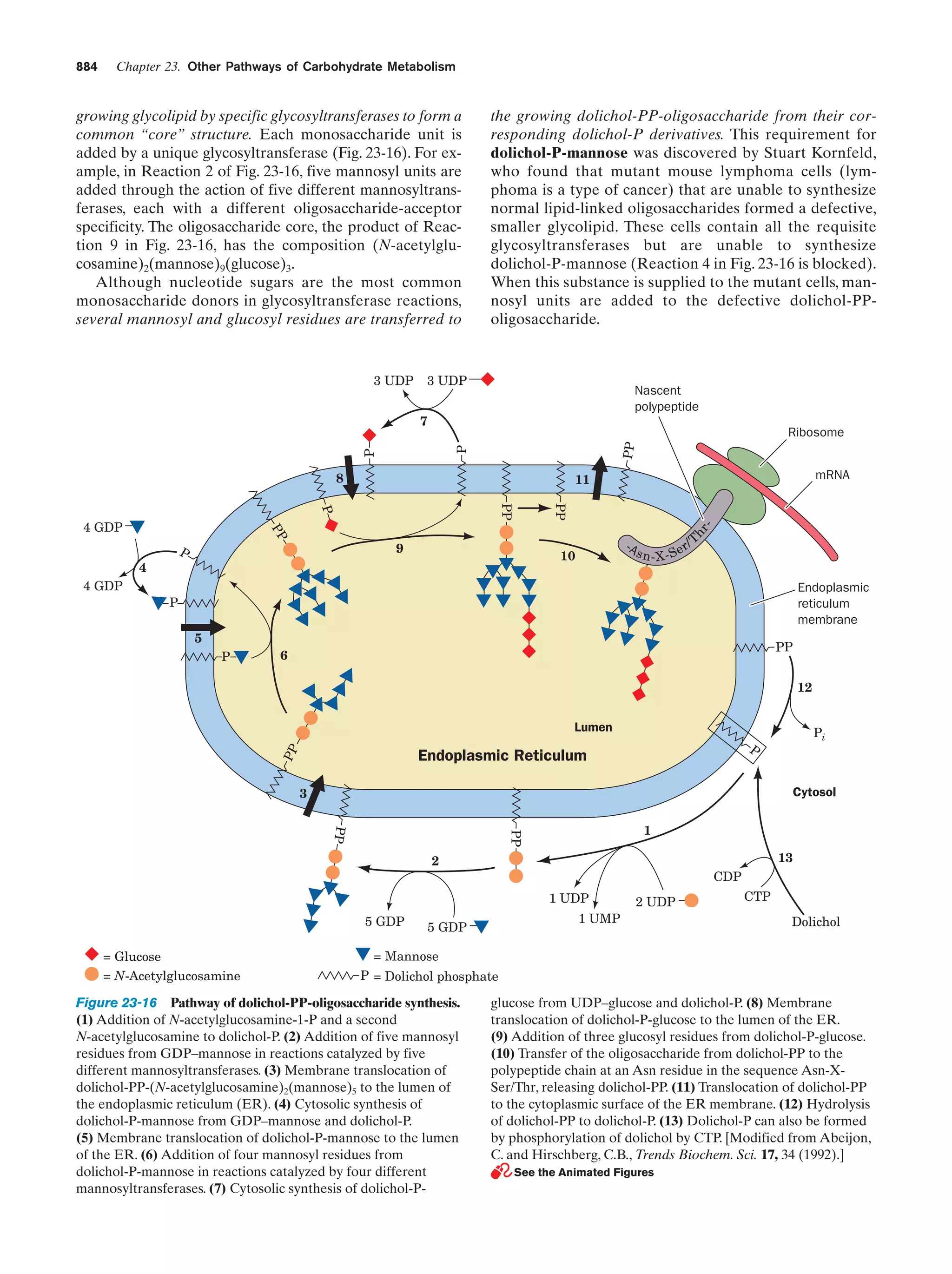 Biochemistry.4th.edition
