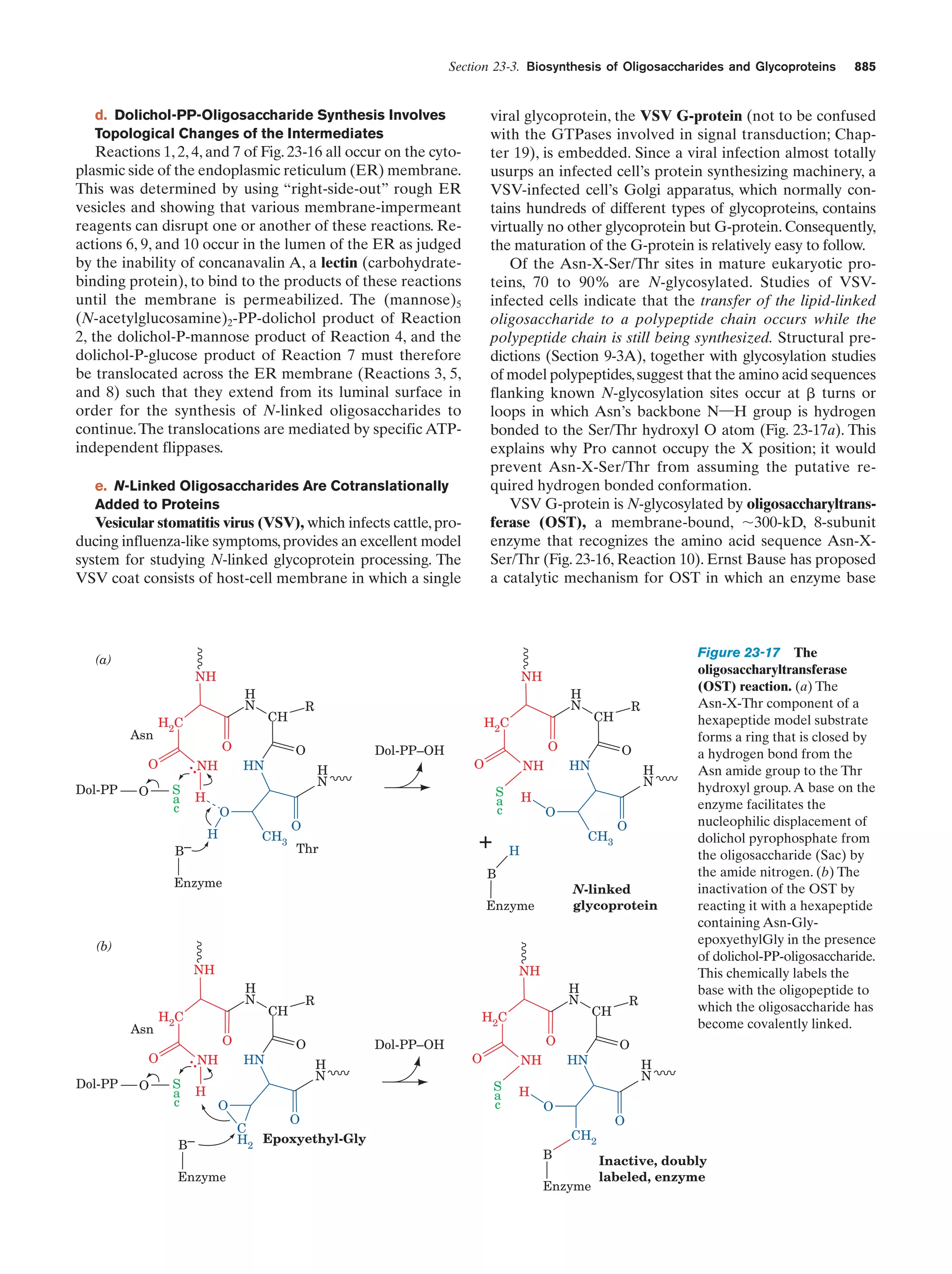 Biochemistry.4th.edition