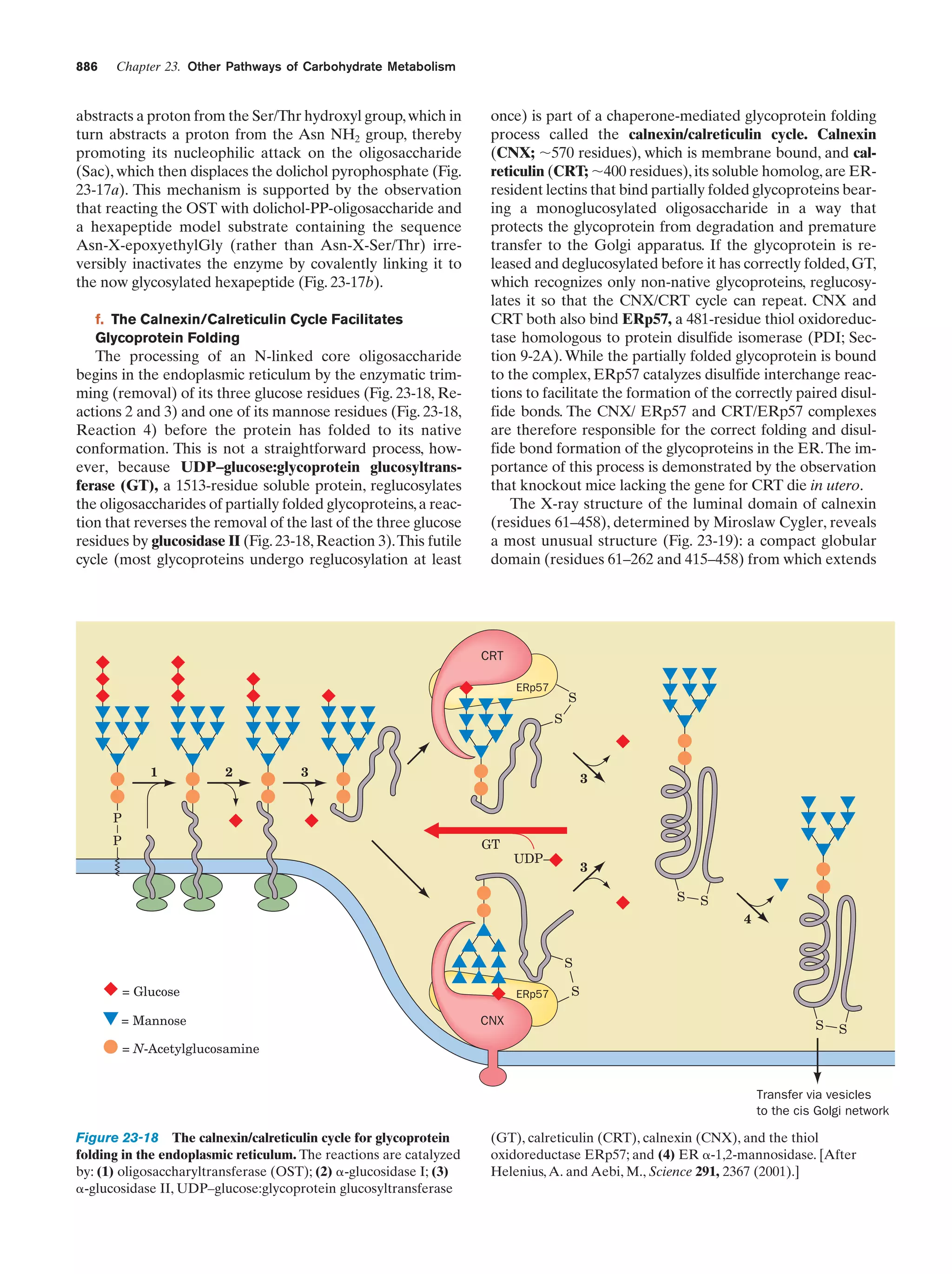 Biochemistry.4th.edition