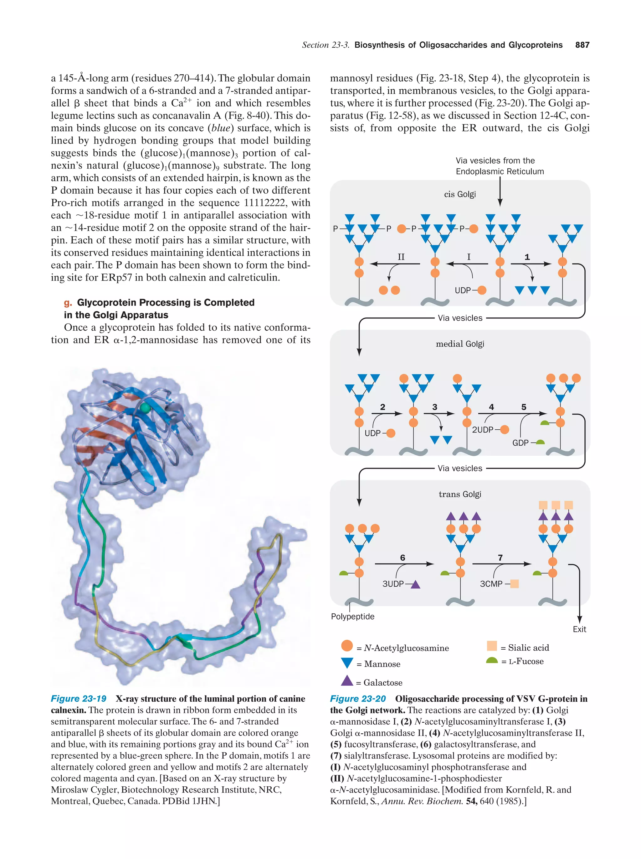 Biochemistry.4th.edition
