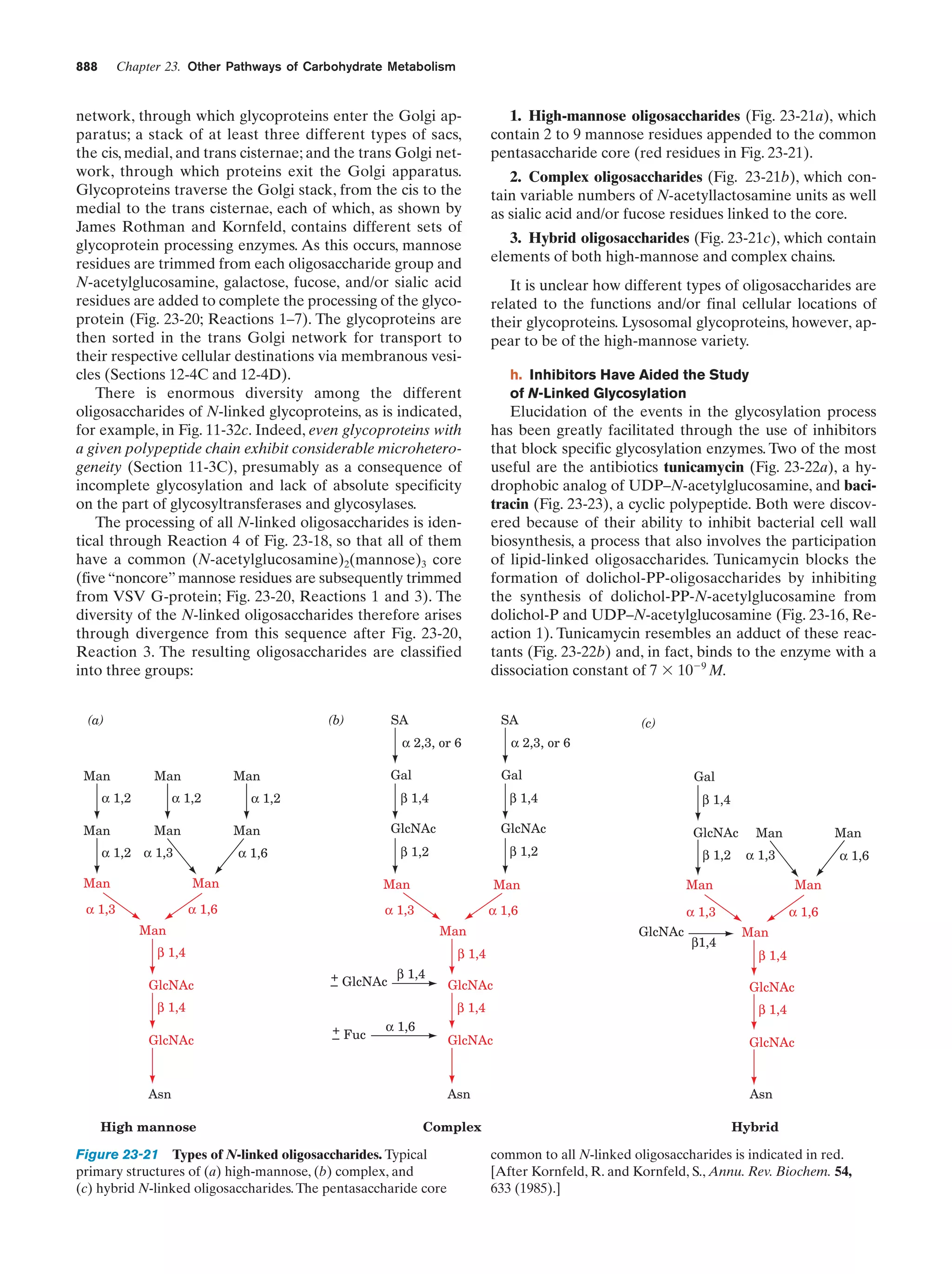 Biochemistry.4th.edition