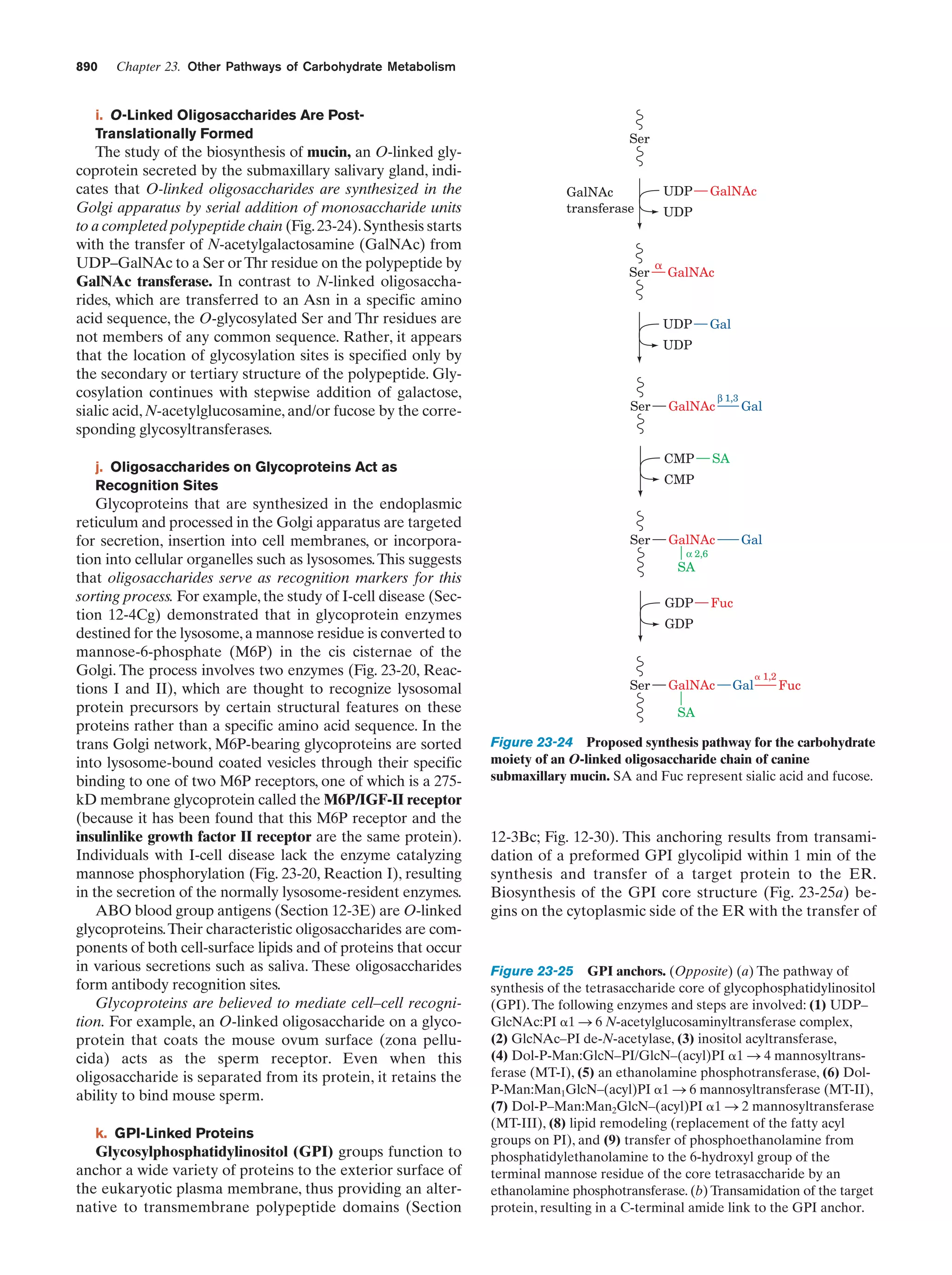 Biochemistry.4th.edition