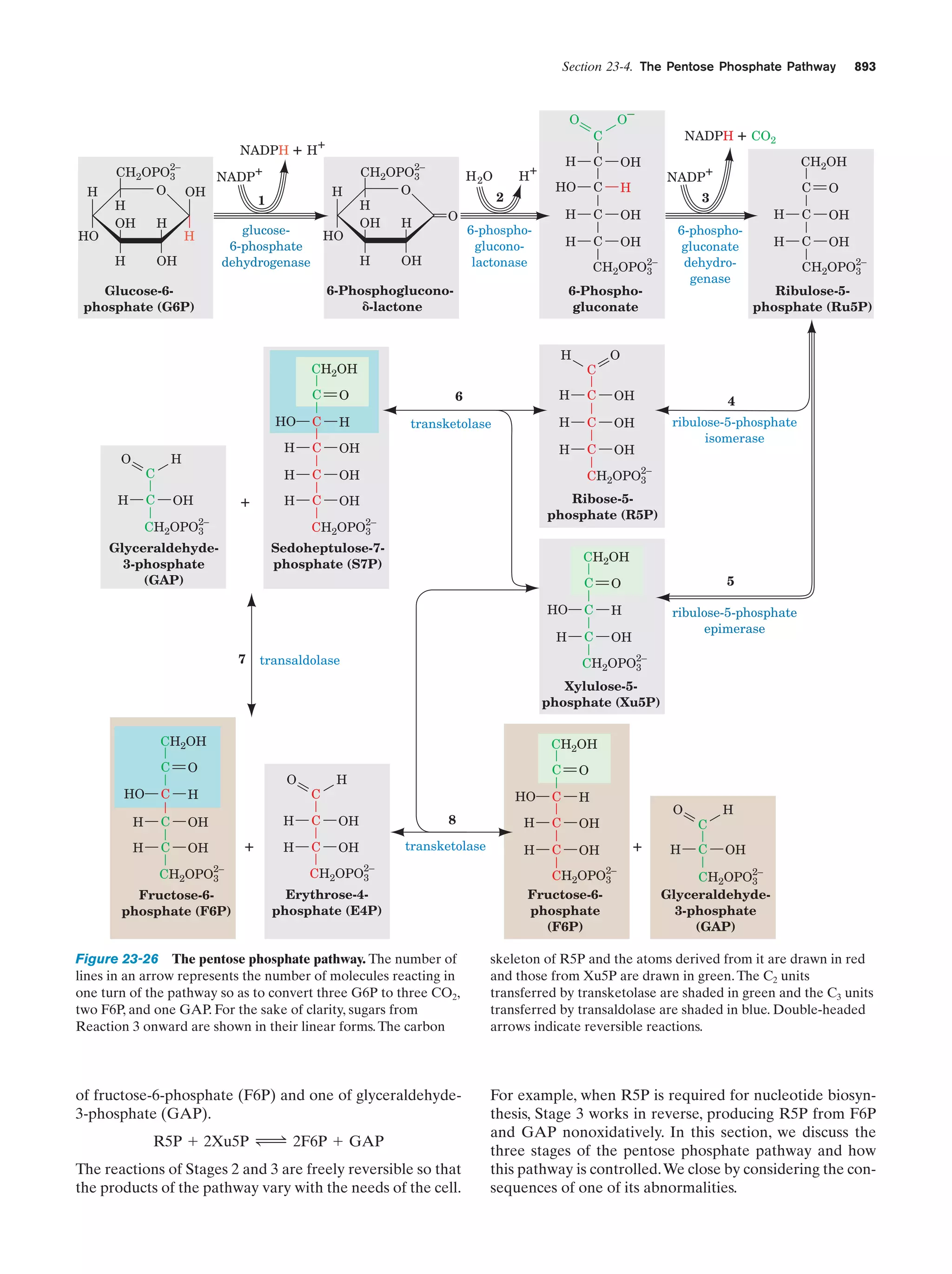 Biochemistry.4th.edition