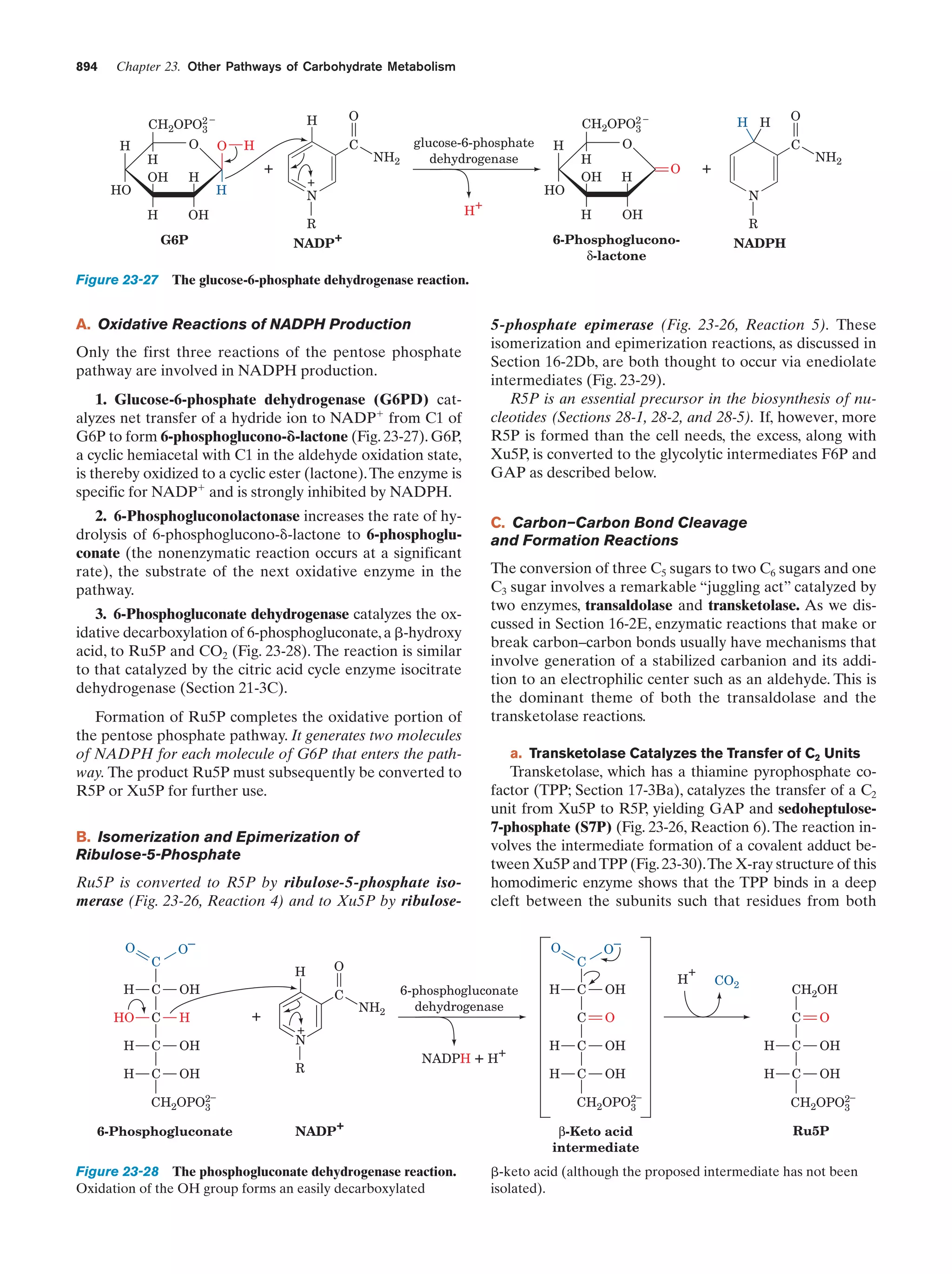 Biochemistry.4th.edition