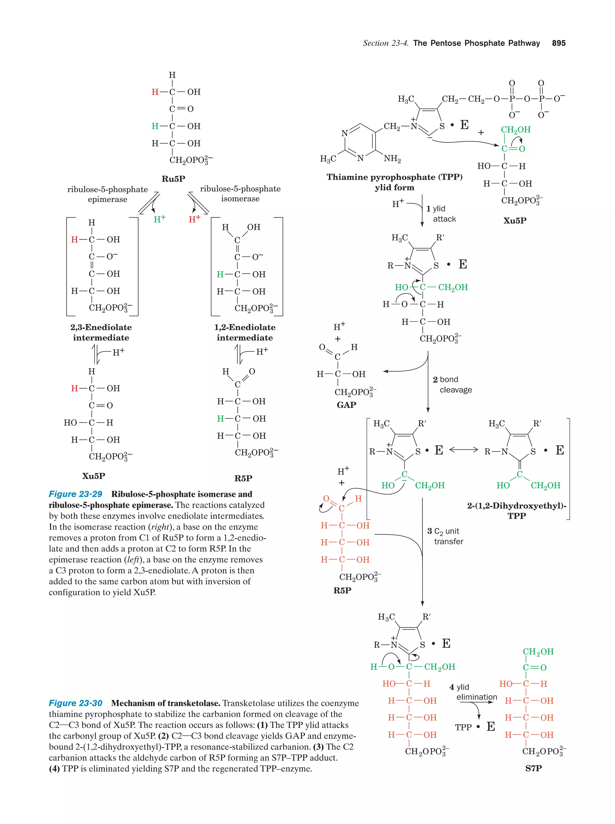Biochemistry.4th.edition