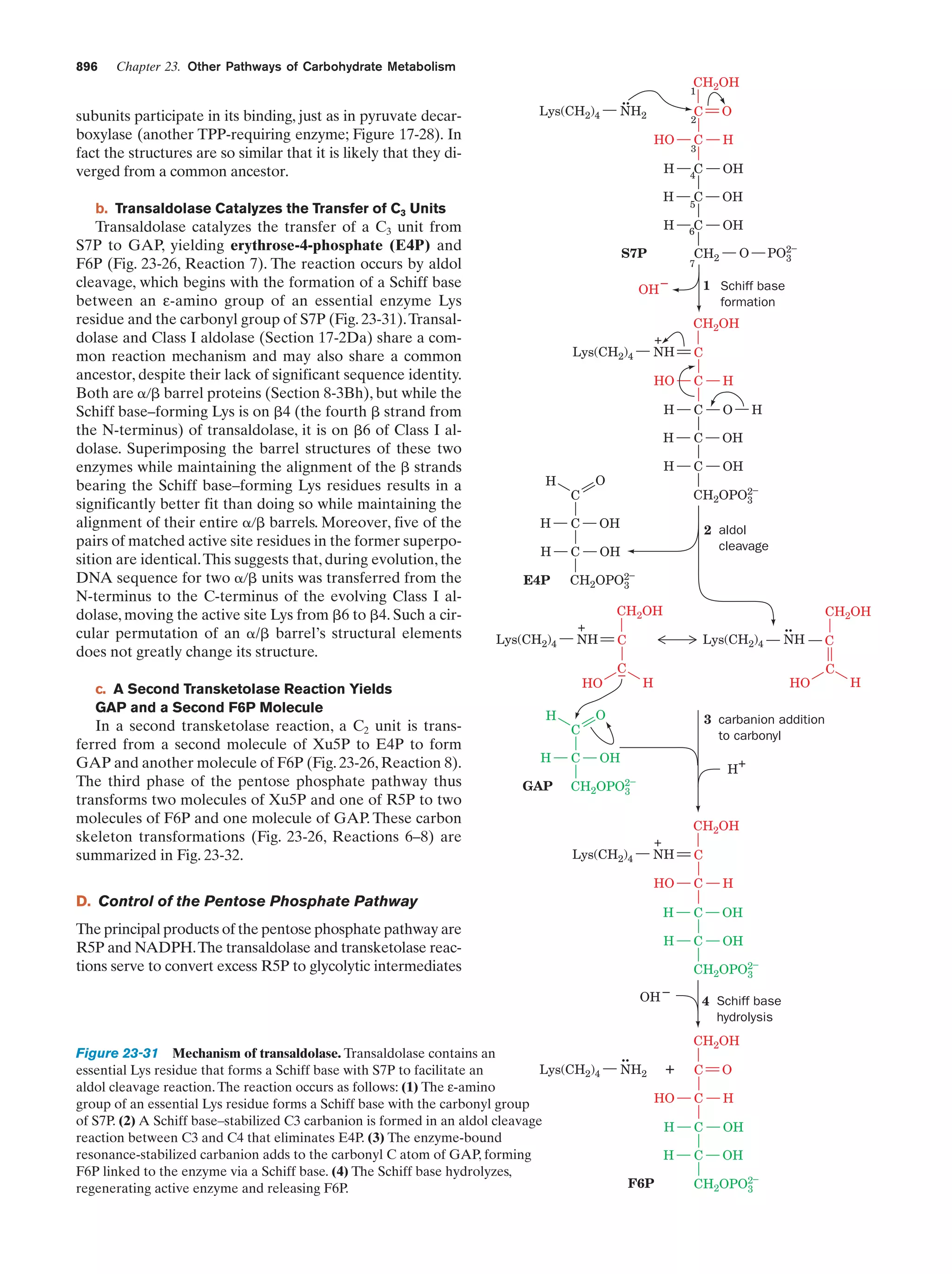 Biochemistry.4th.edition