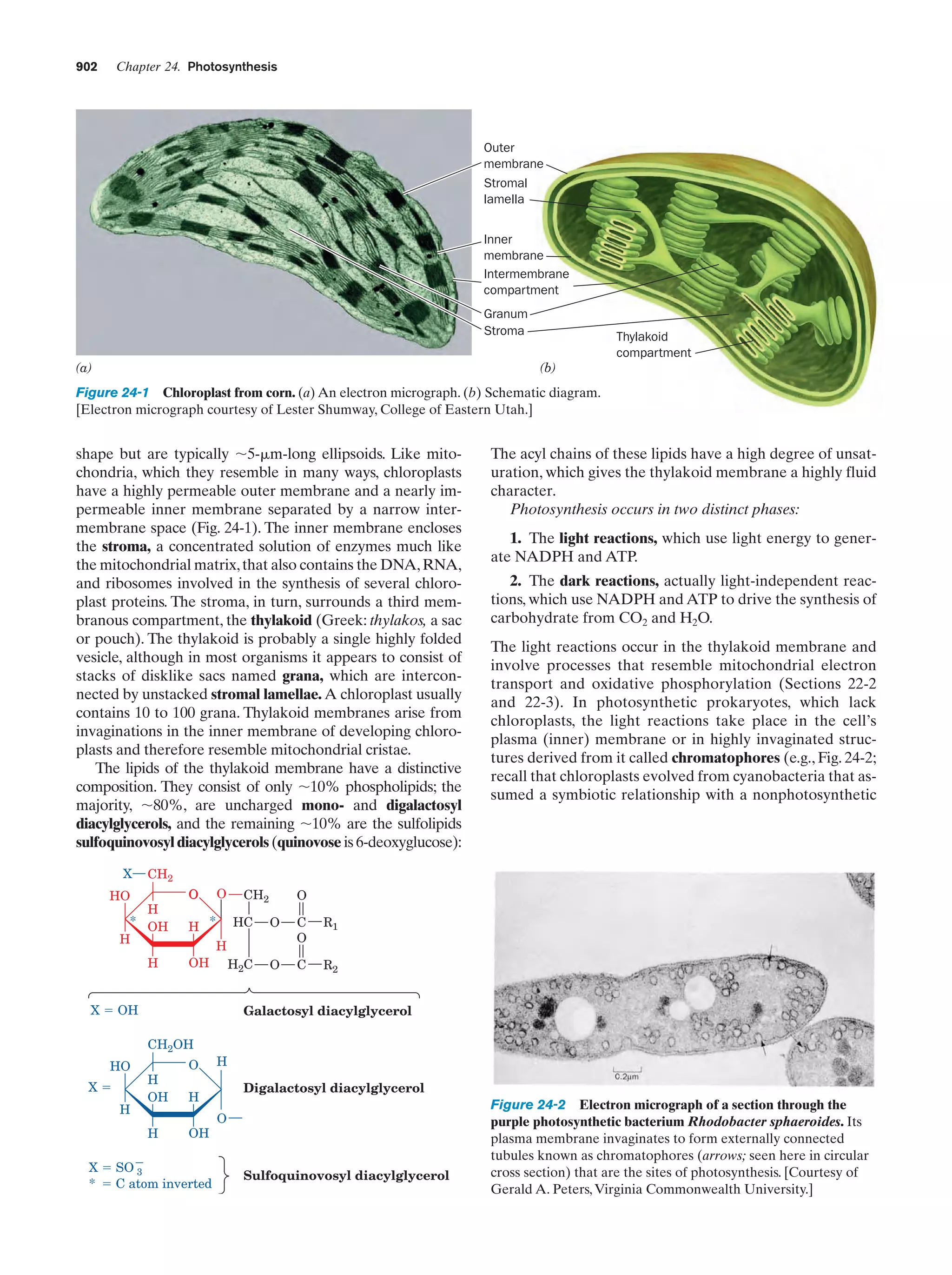 Biochemistry.4th.edition