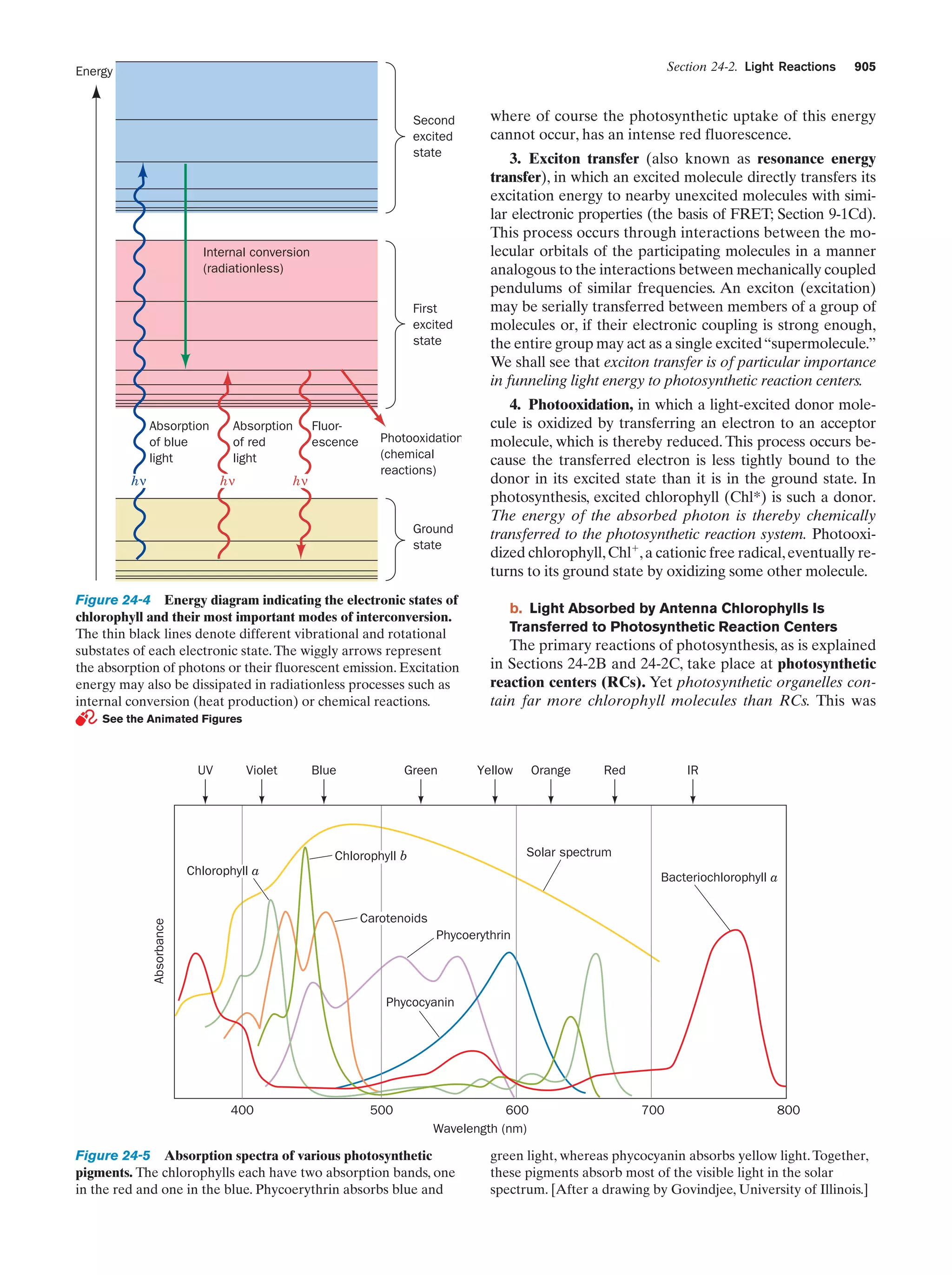 Biochemistry.4th.edition
