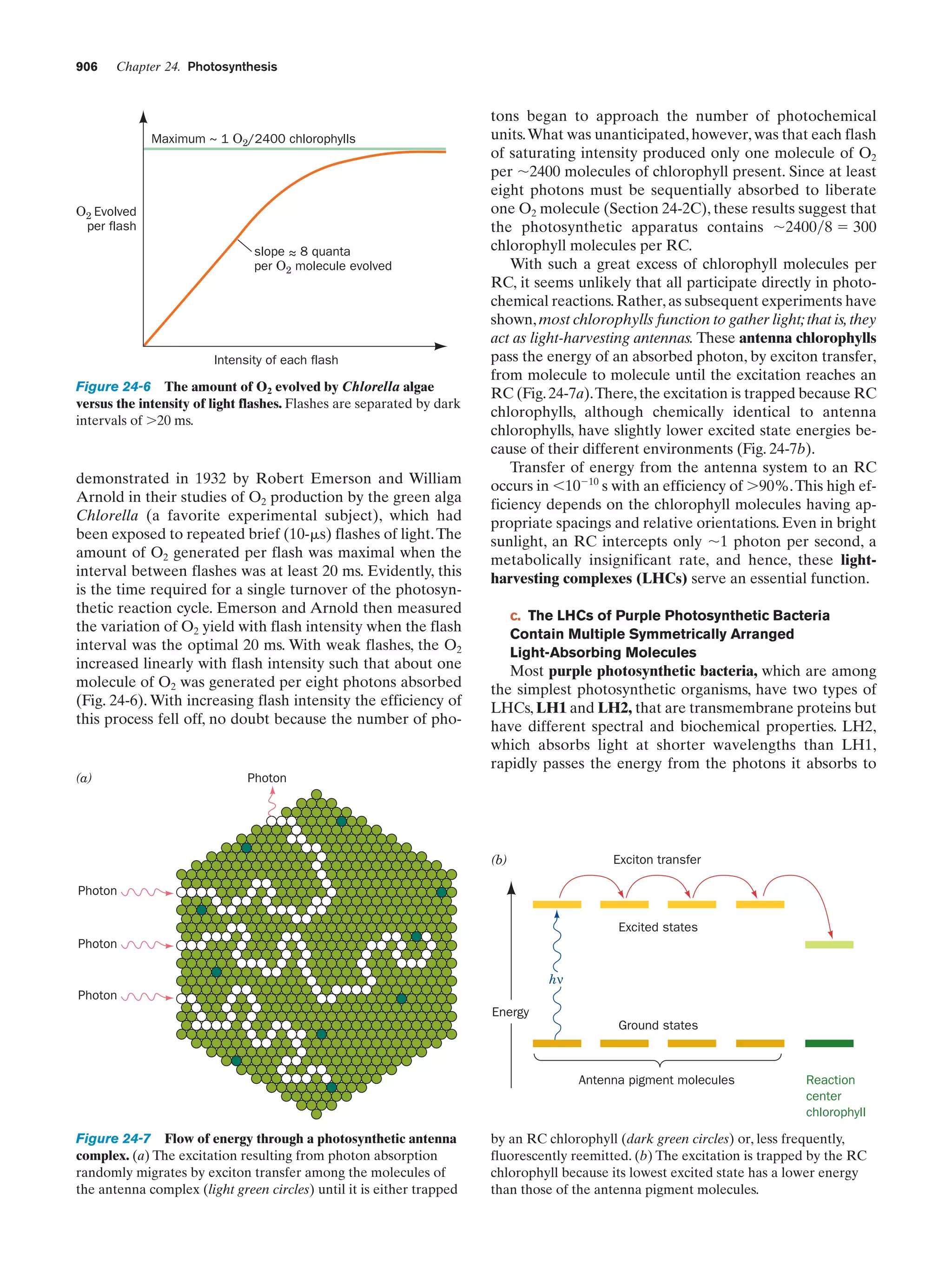 Biochemistry.4th.edition