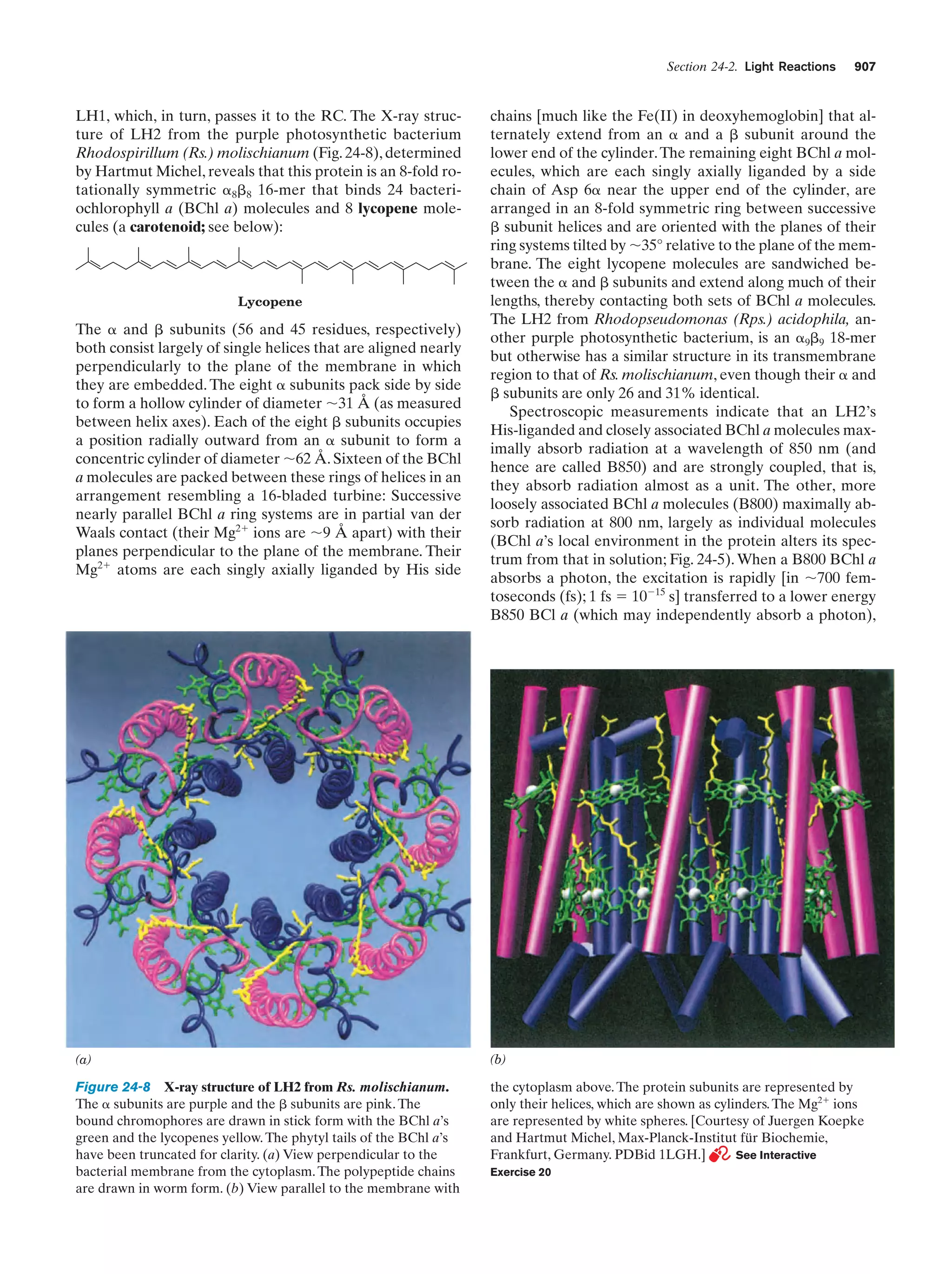 Biochemistry.4th.edition