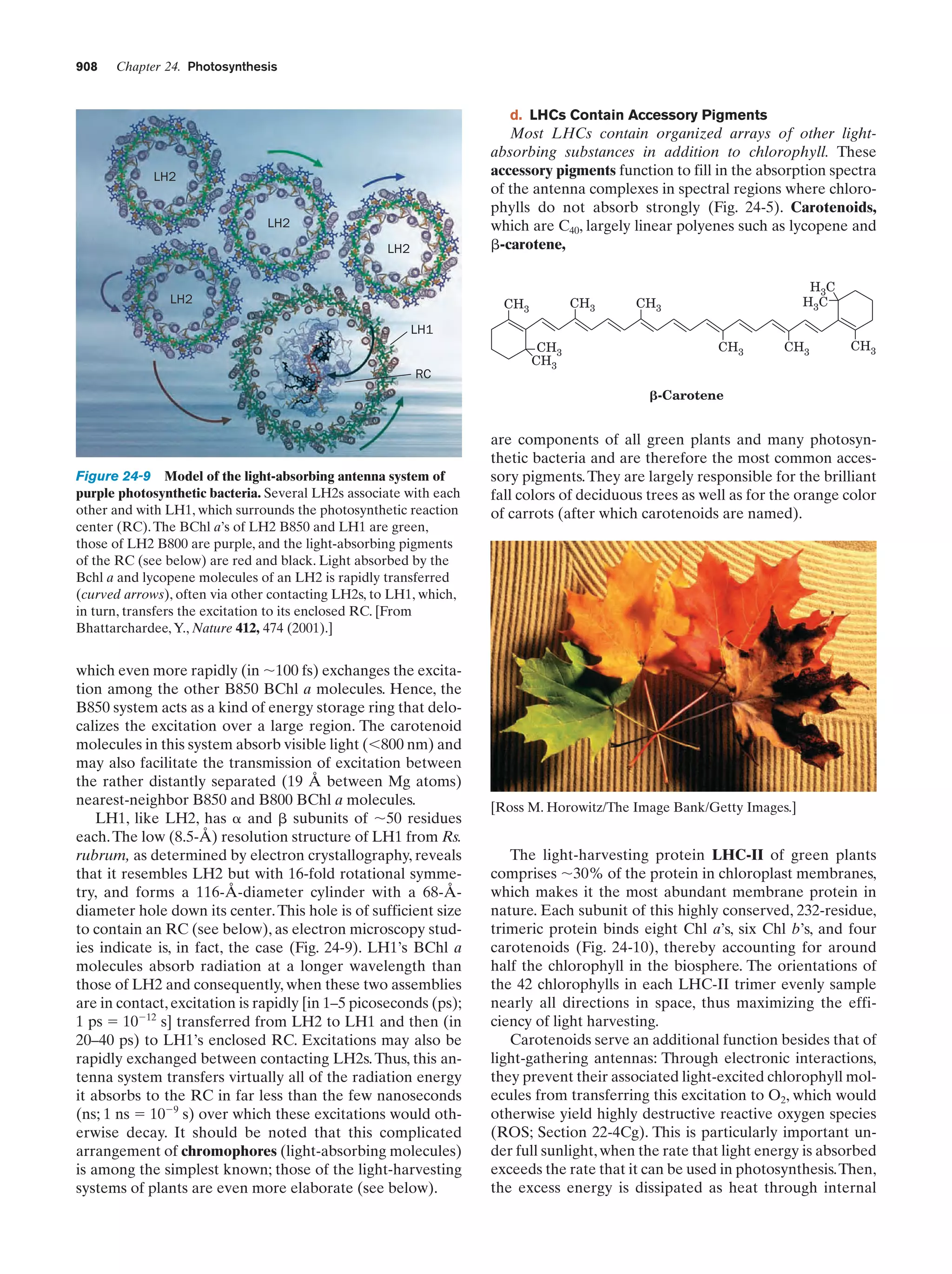Biochemistry.4th.edition