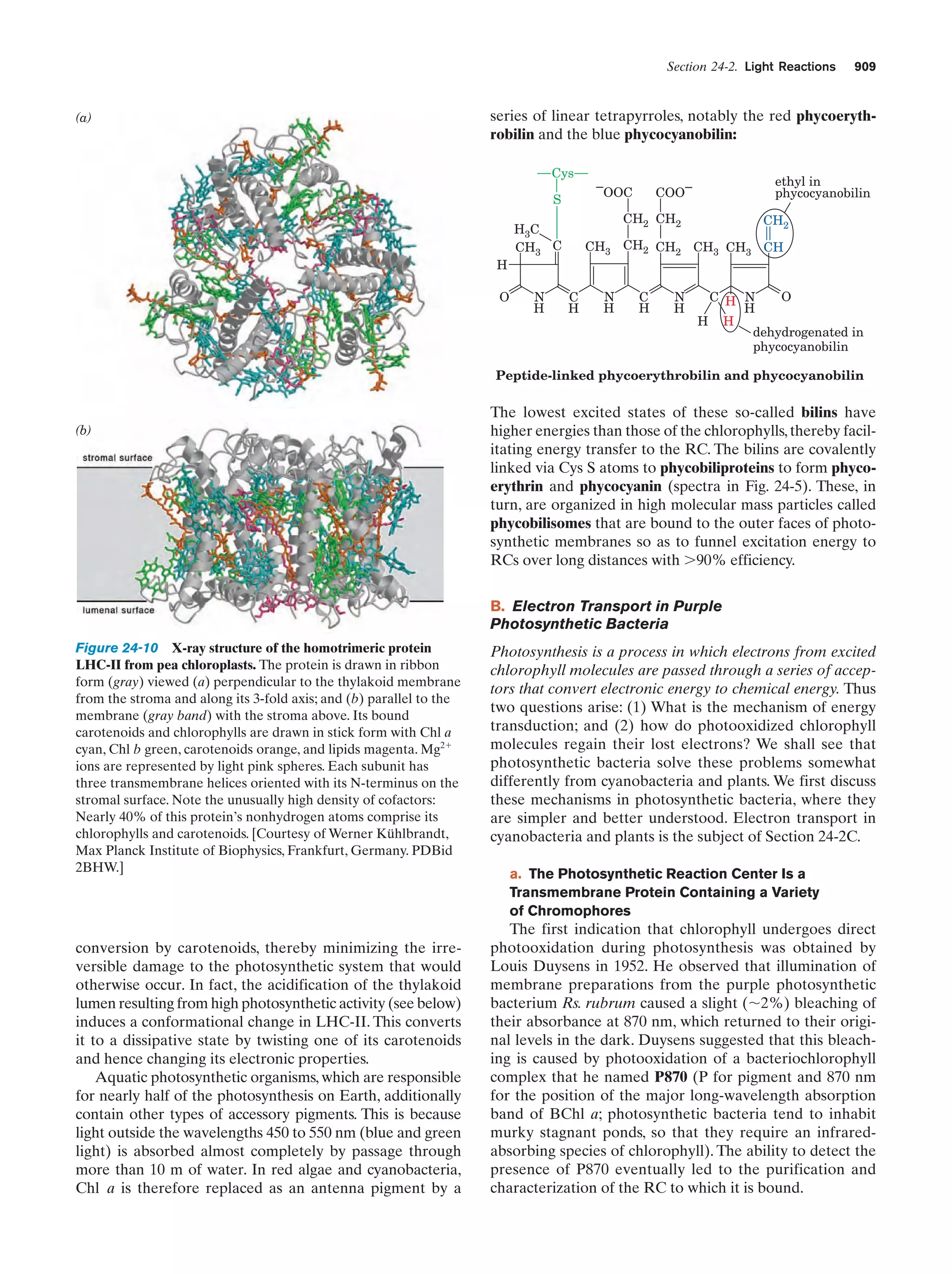 Biochemistry.4th.edition
