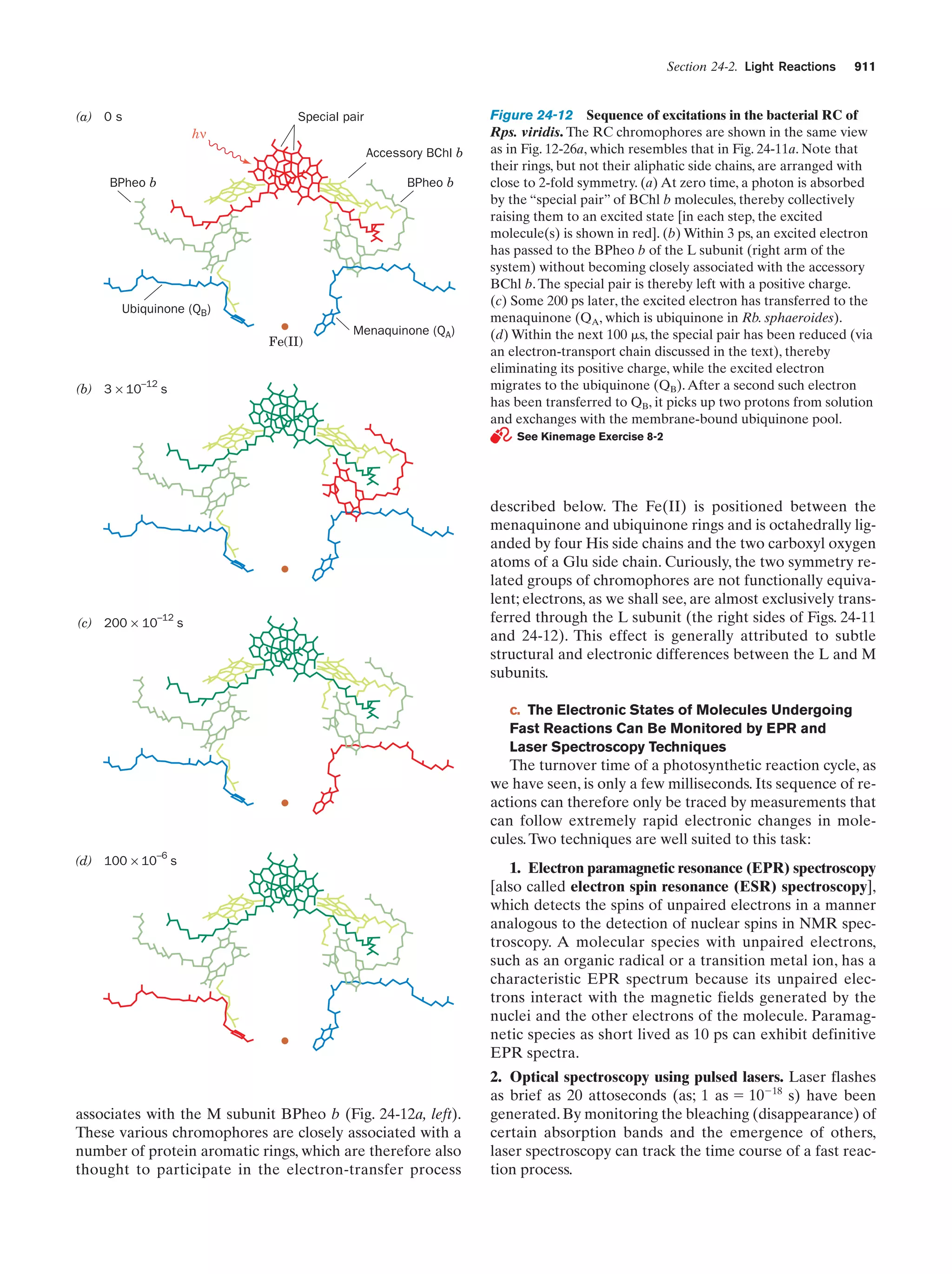 Biochemistry.4th.edition