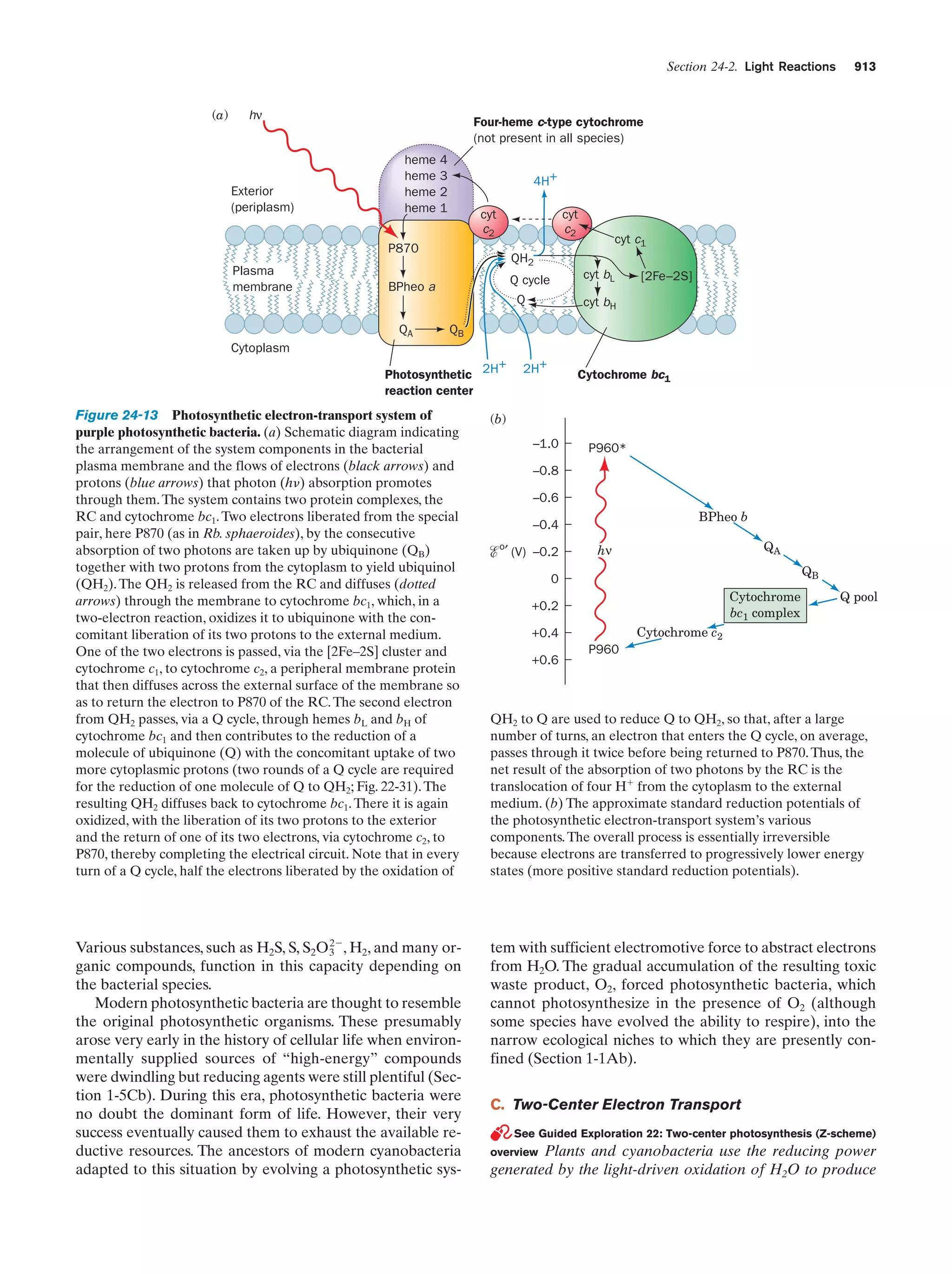 Biochemistry.4th.edition