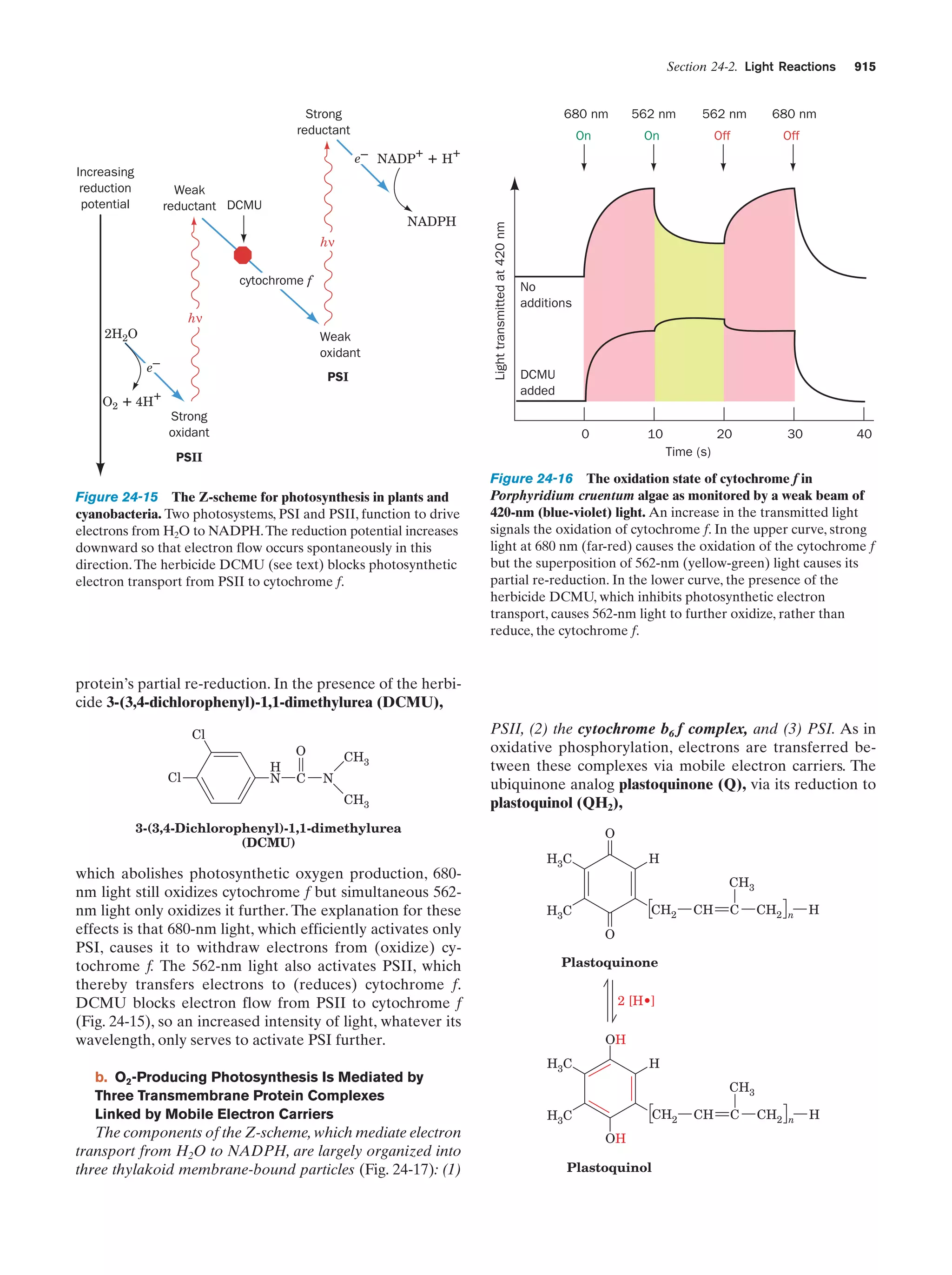 Biochemistry.4th.edition