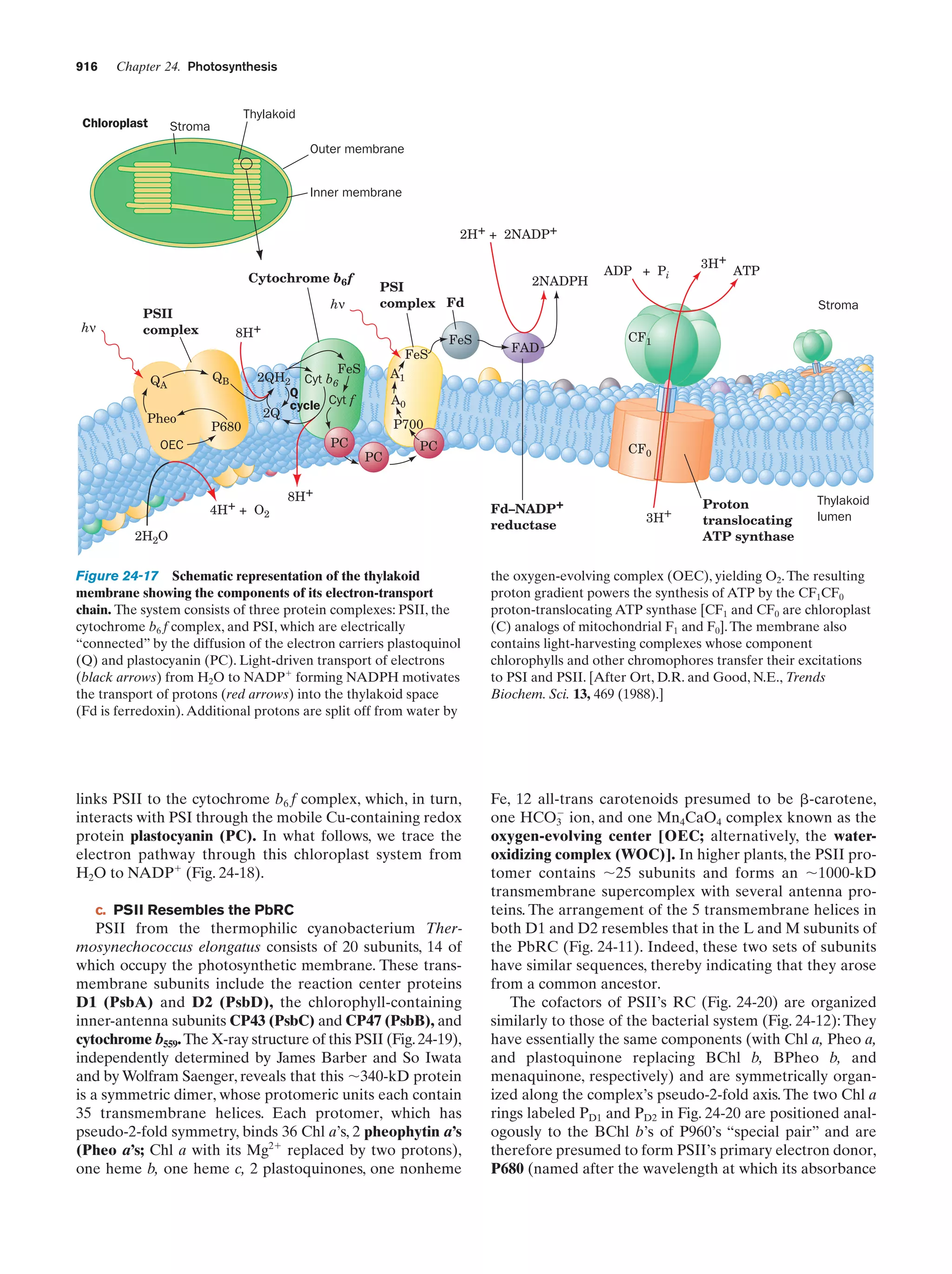 Biochemistry.4th.edition