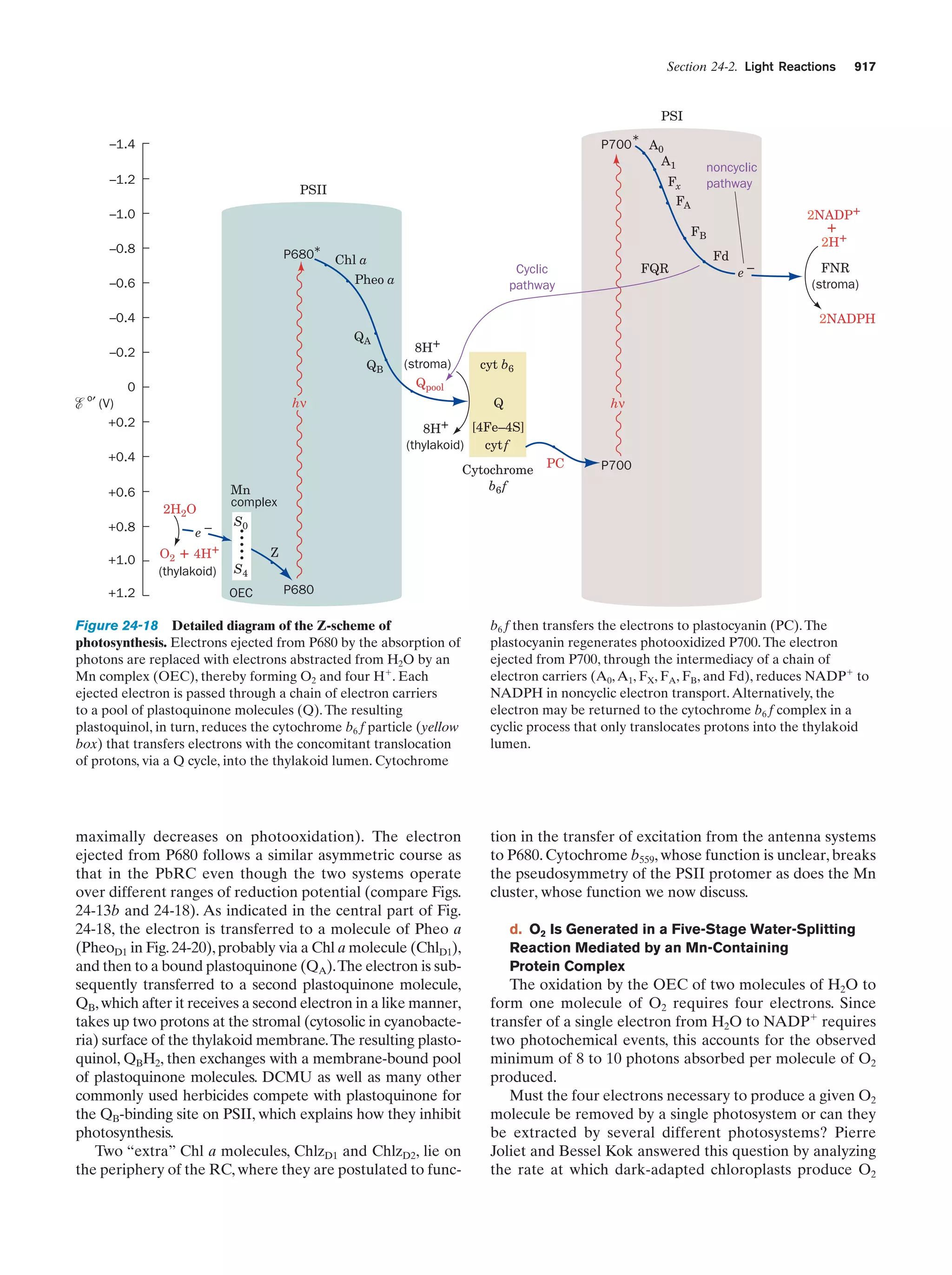 Biochemistry.4th.edition