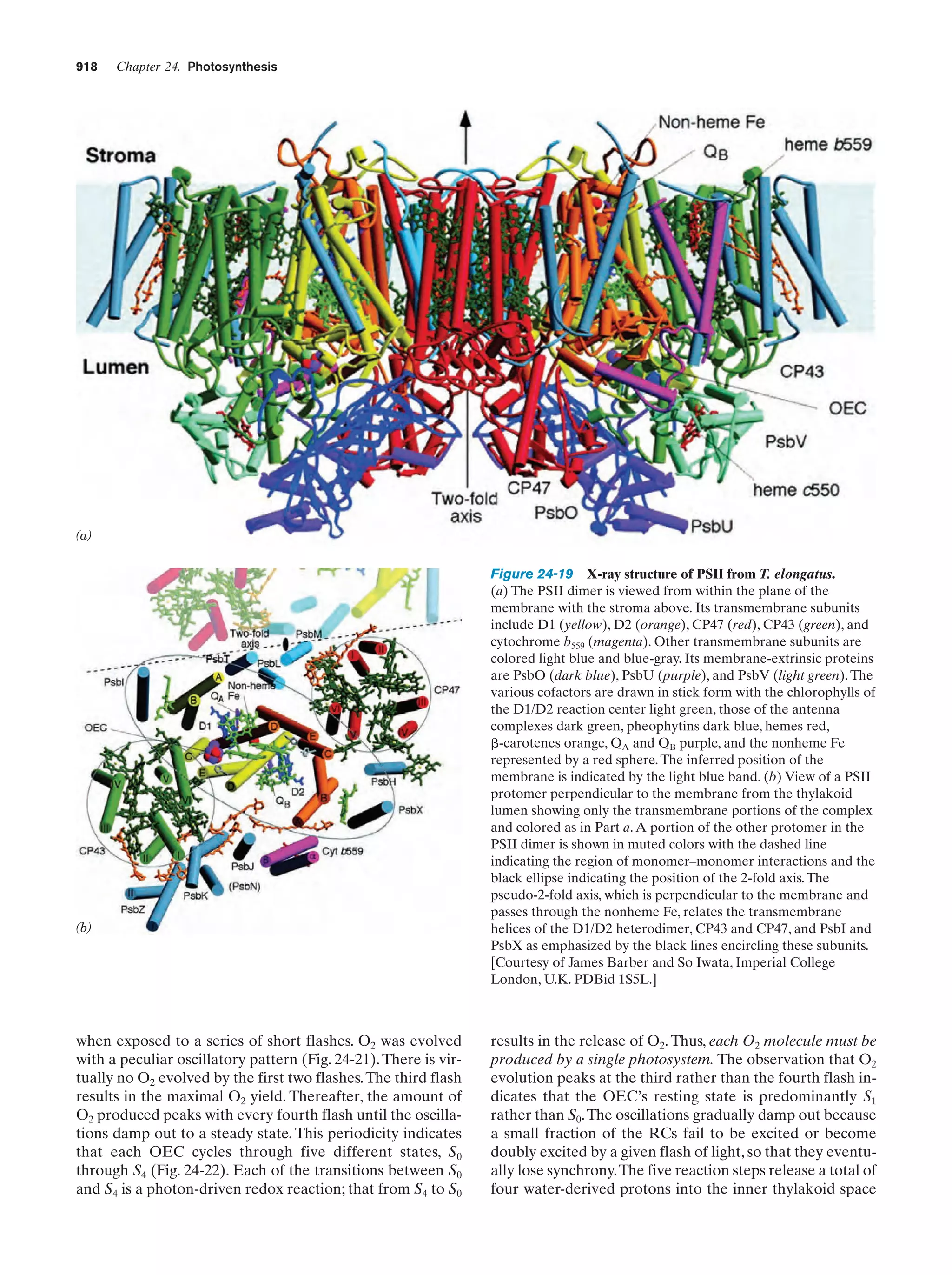 Biochemistry.4th.edition