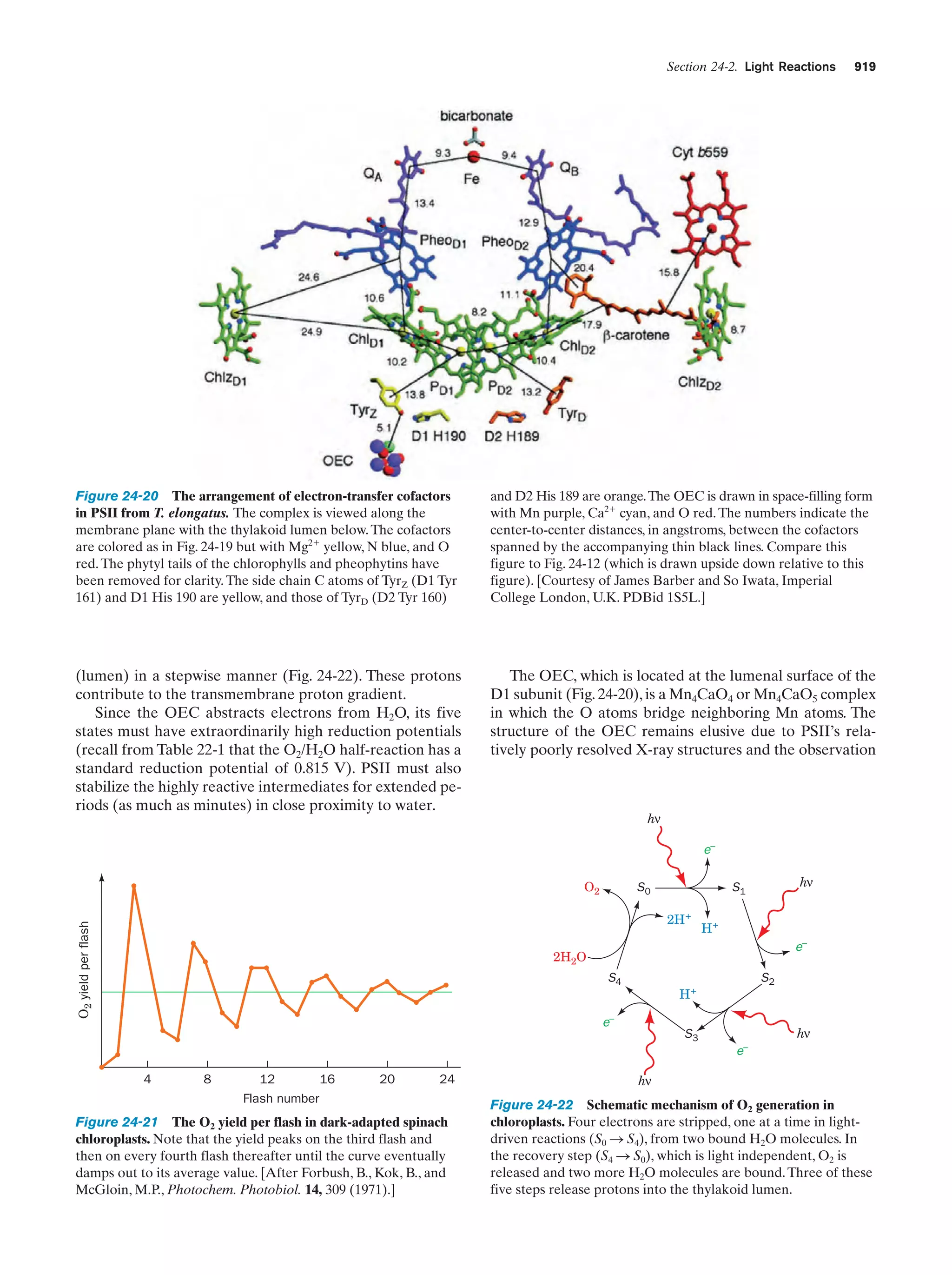 Biochemistry.4th.edition