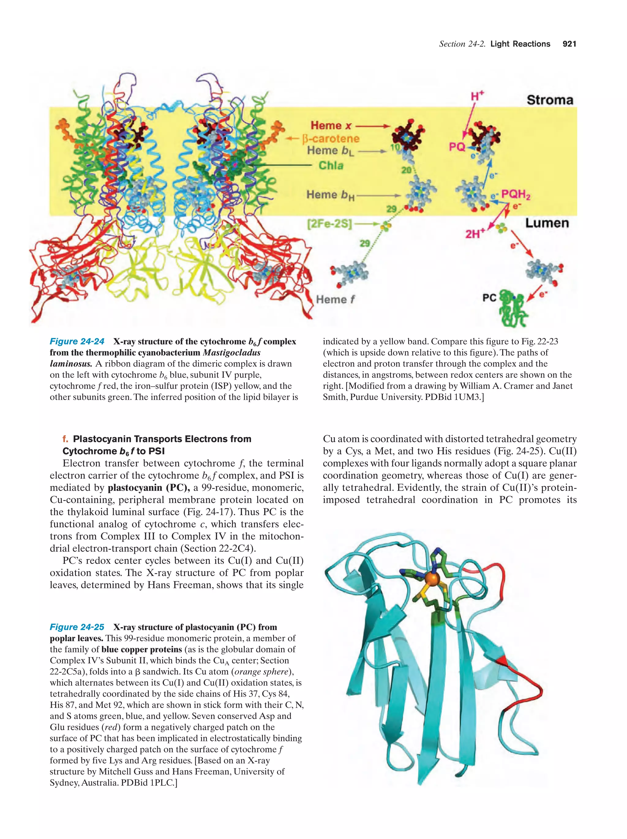 Biochemistry.4th.edition