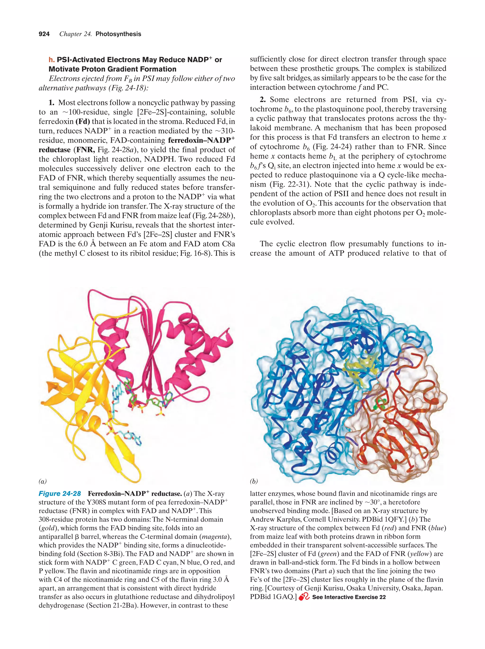 Biochemistry.4th.edition