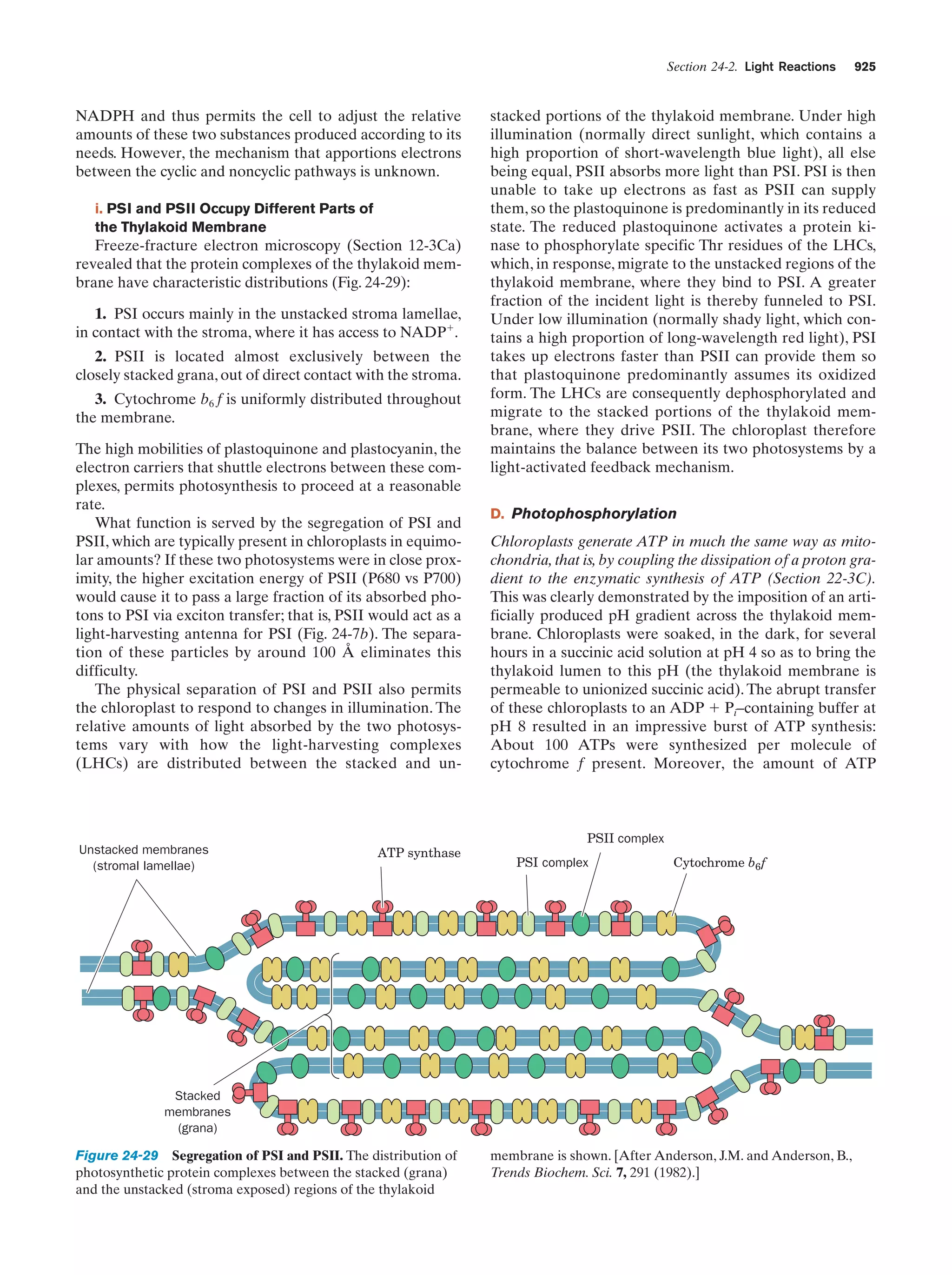 Biochemistry.4th.edition