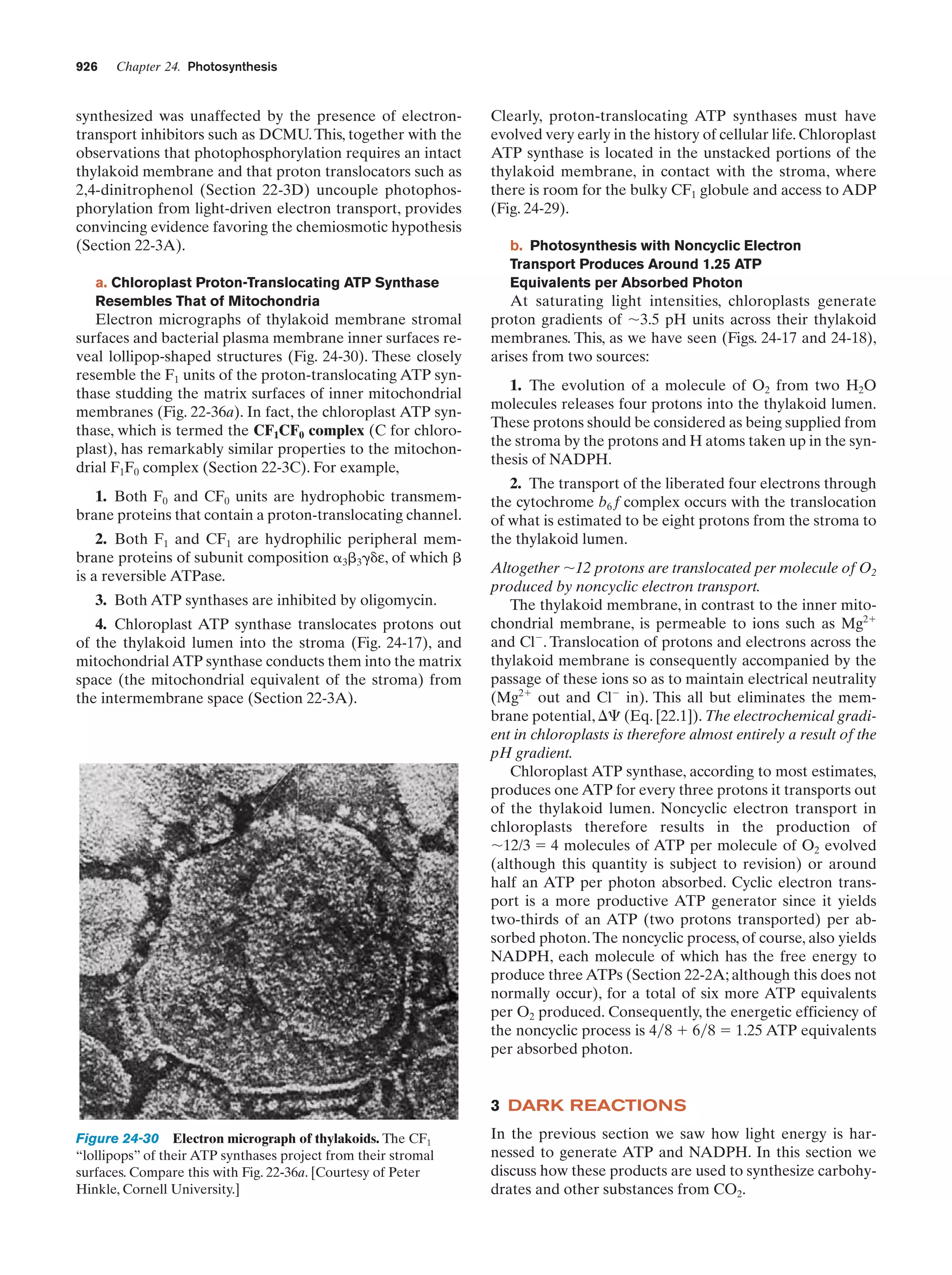 Biochemistry.4th.edition