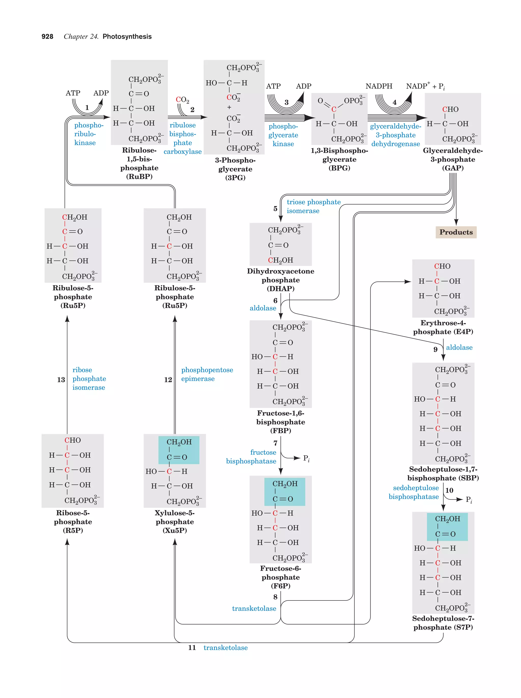 Biochemistry.4th.edition