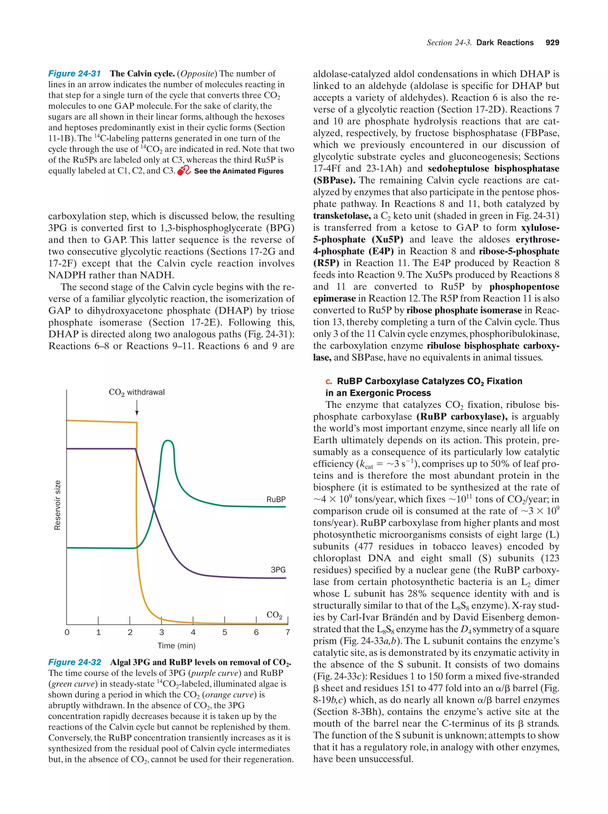 Biochemistry.4th.edition