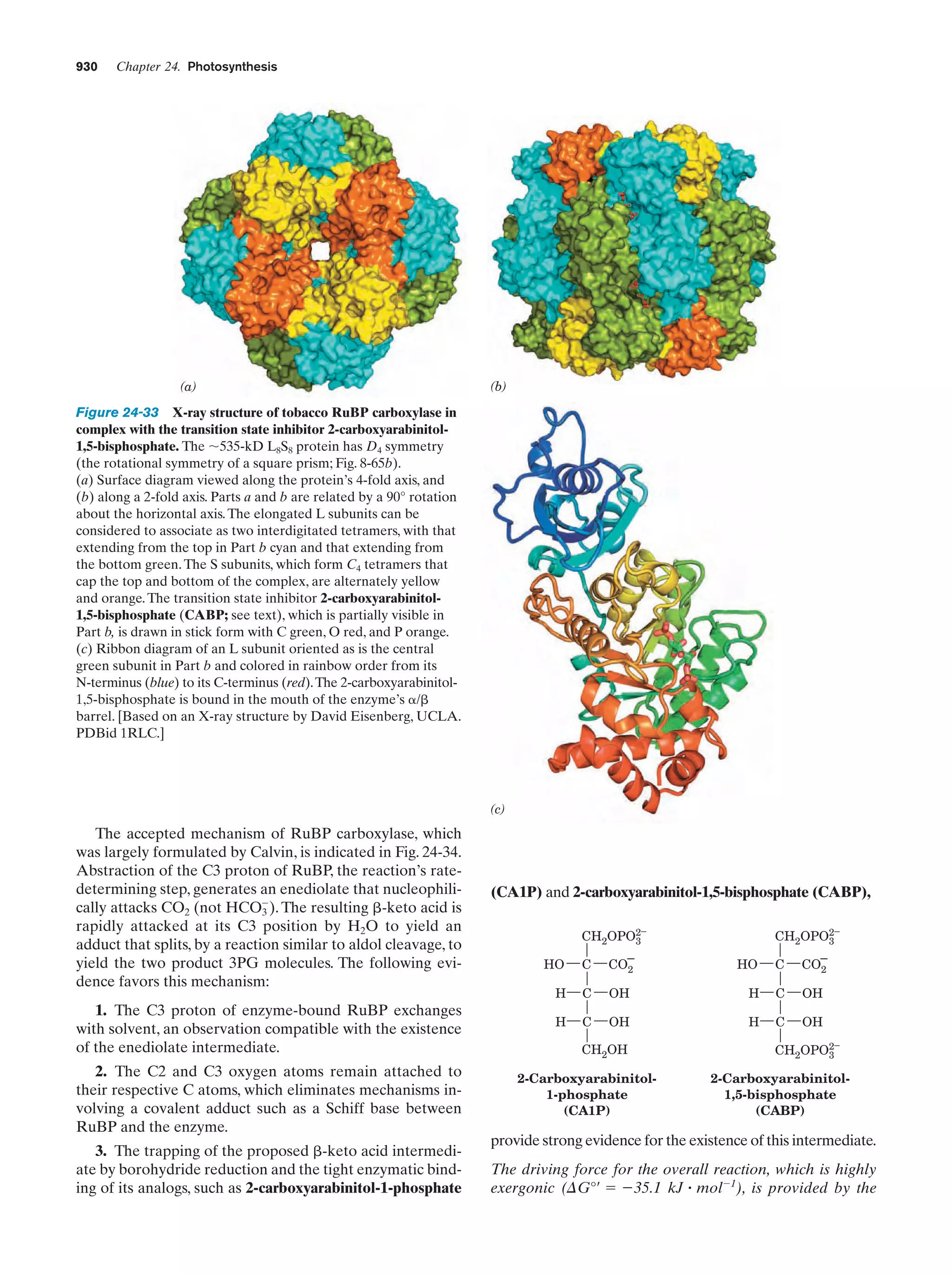 Biochemistry.4th.edition