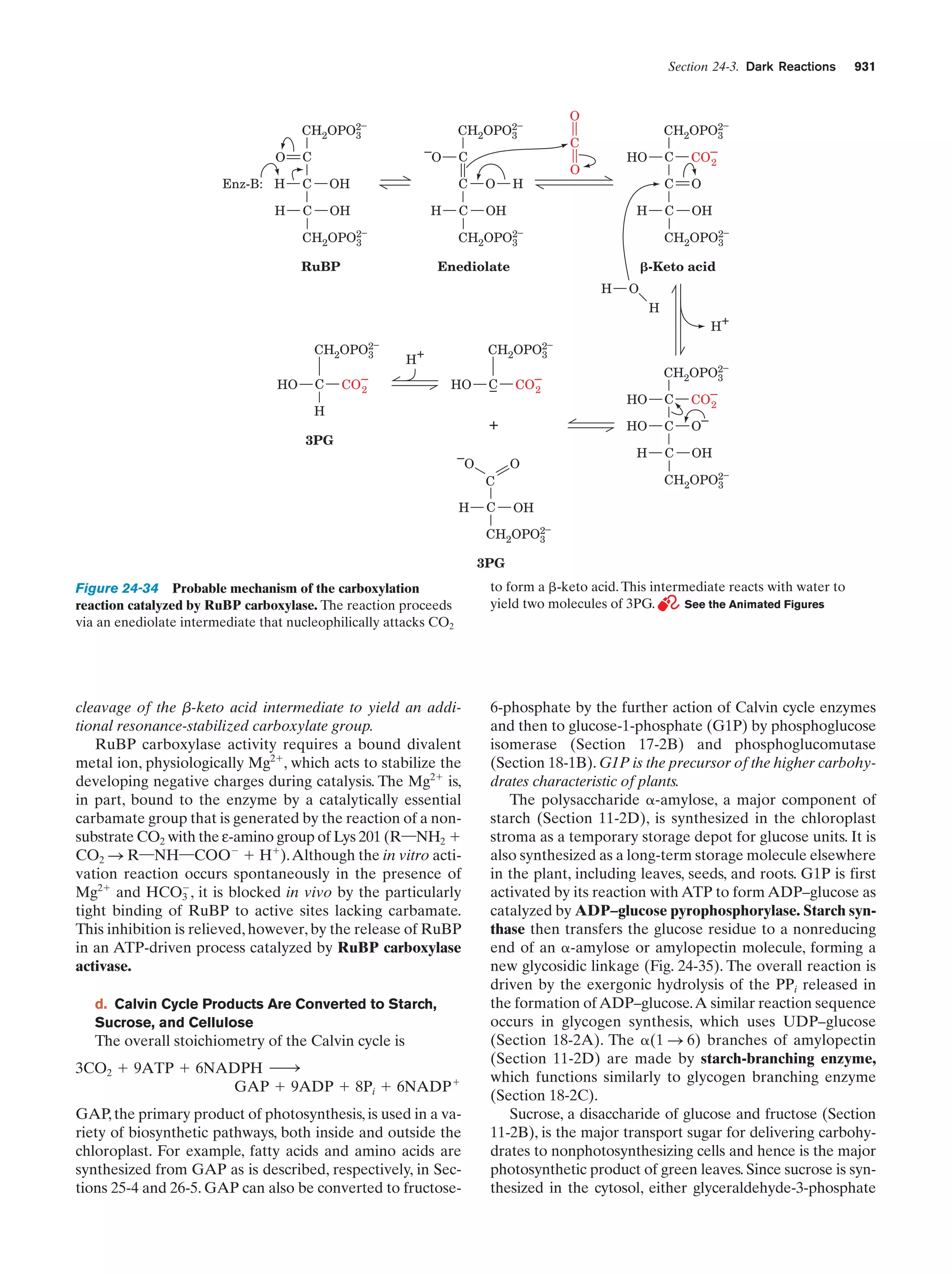 Biochemistry.4th.edition