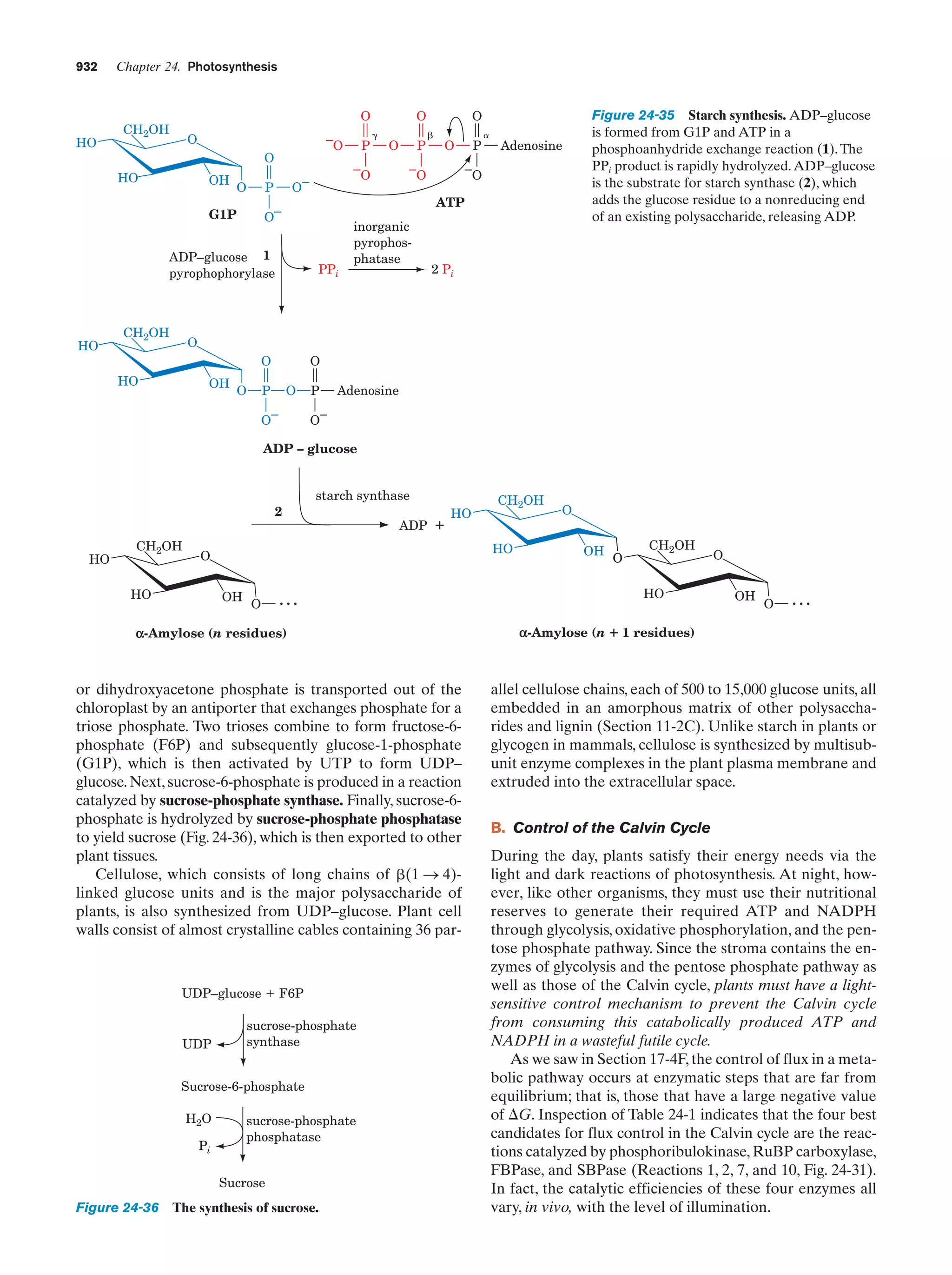 Biochemistry.4th.edition