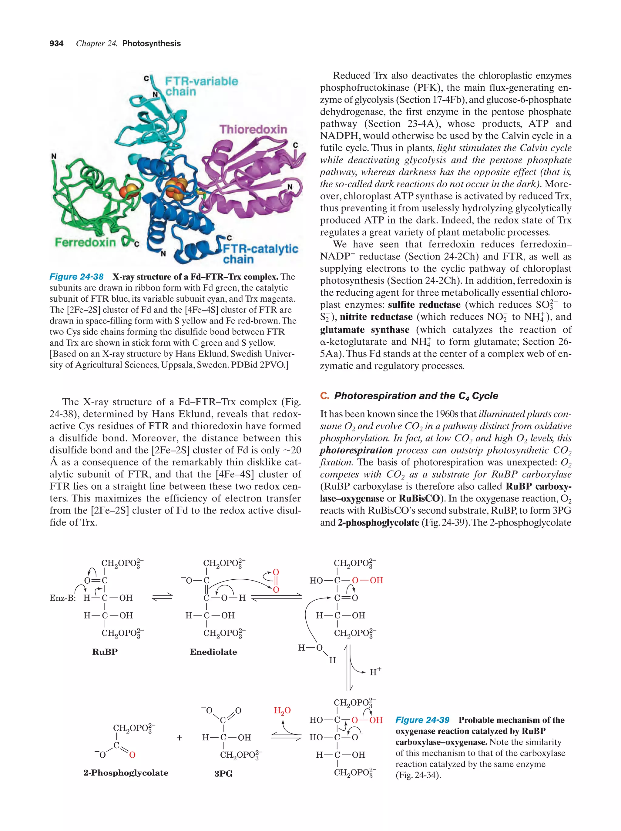 Biochemistry.4th.edition