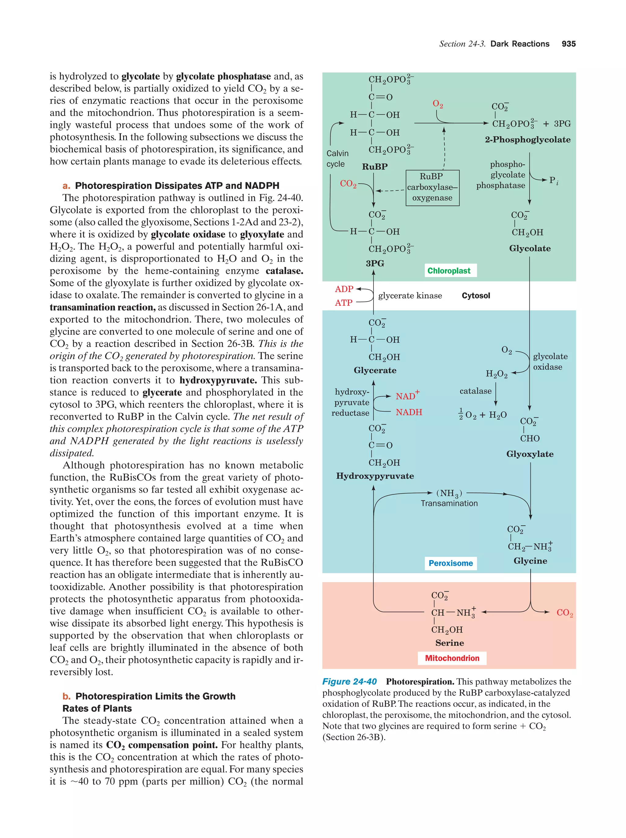 Biochemistry.4th.edition