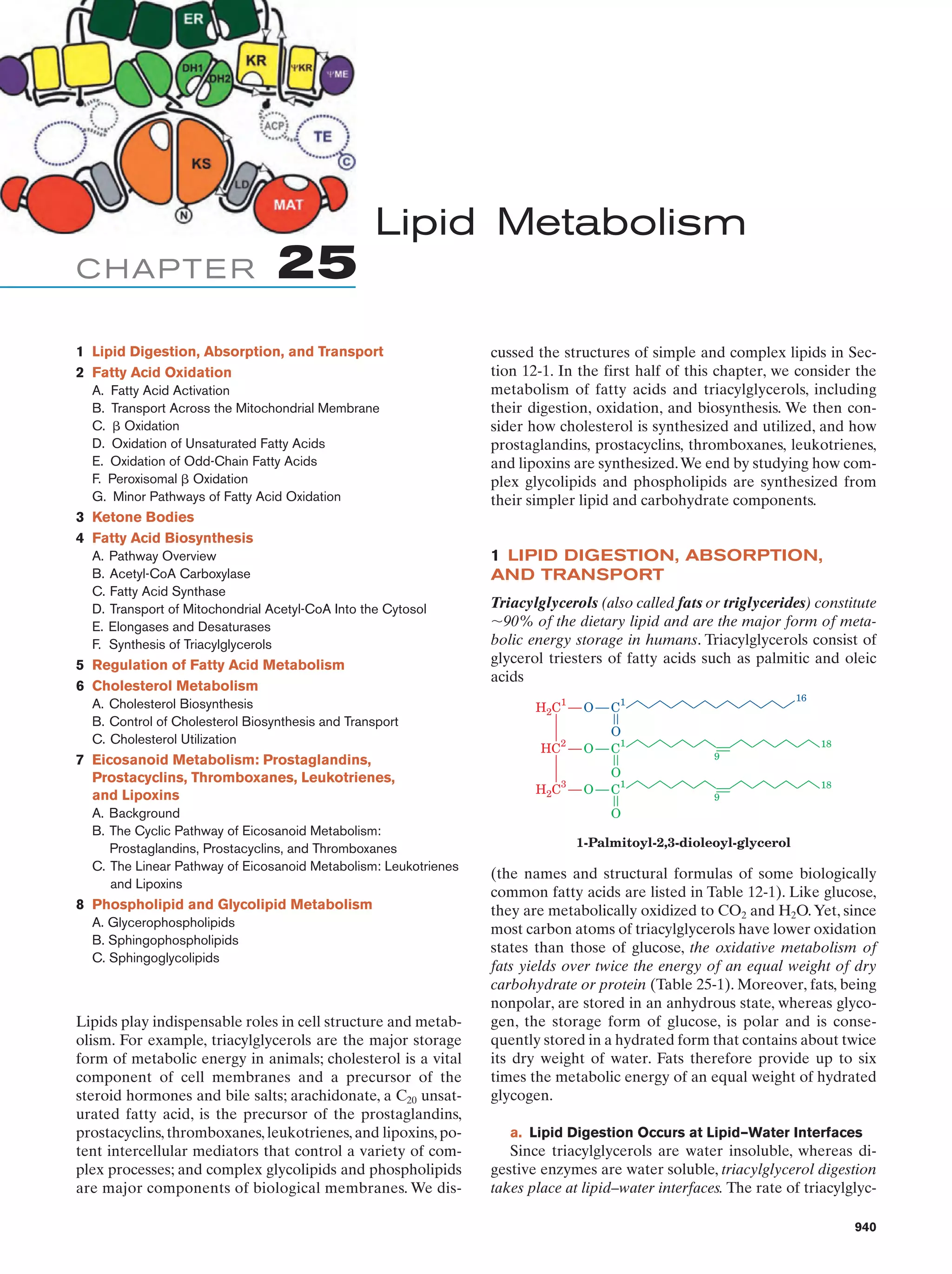 Biochemistry.4th.edition