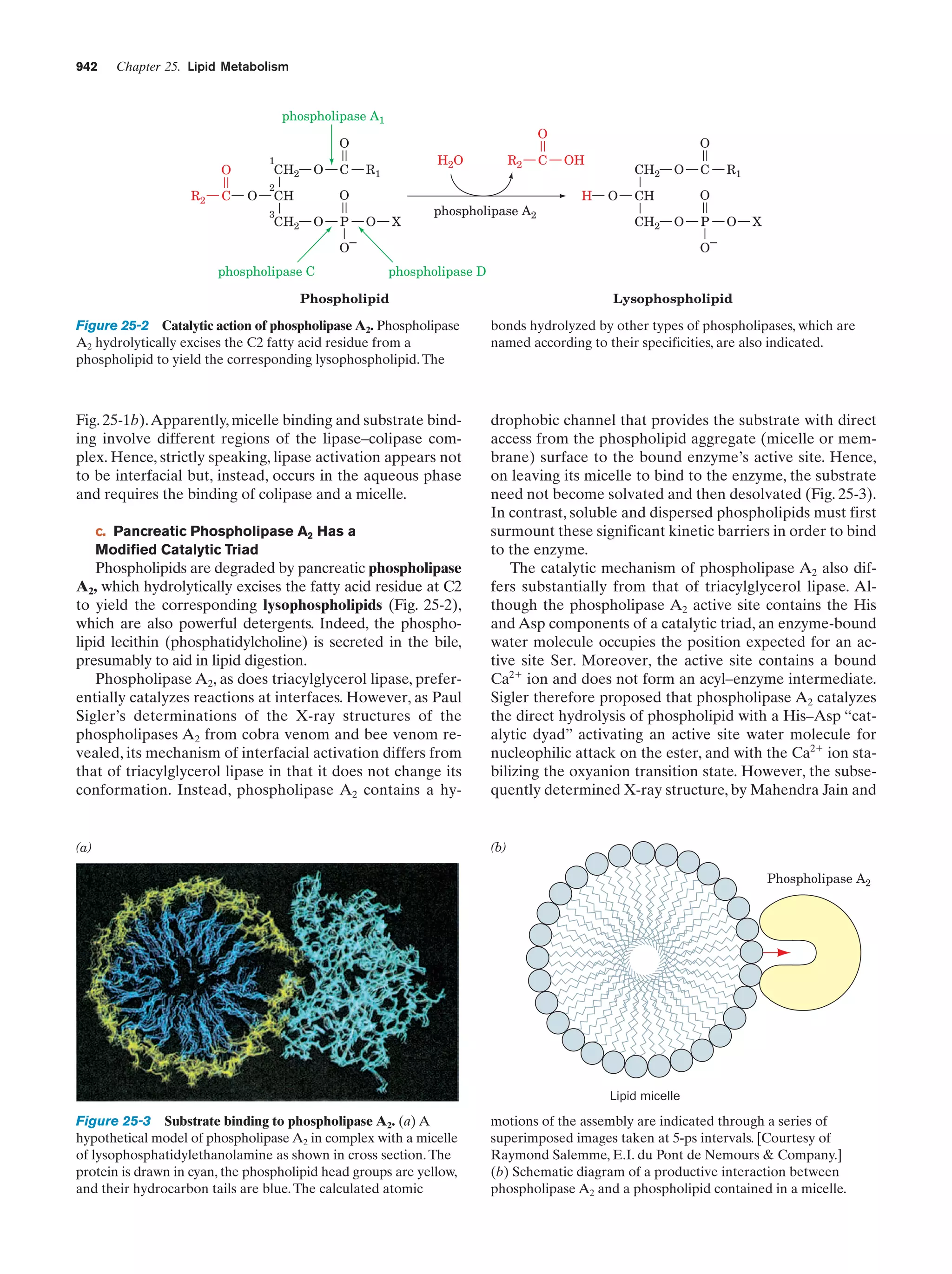 Biochemistry.4th.edition