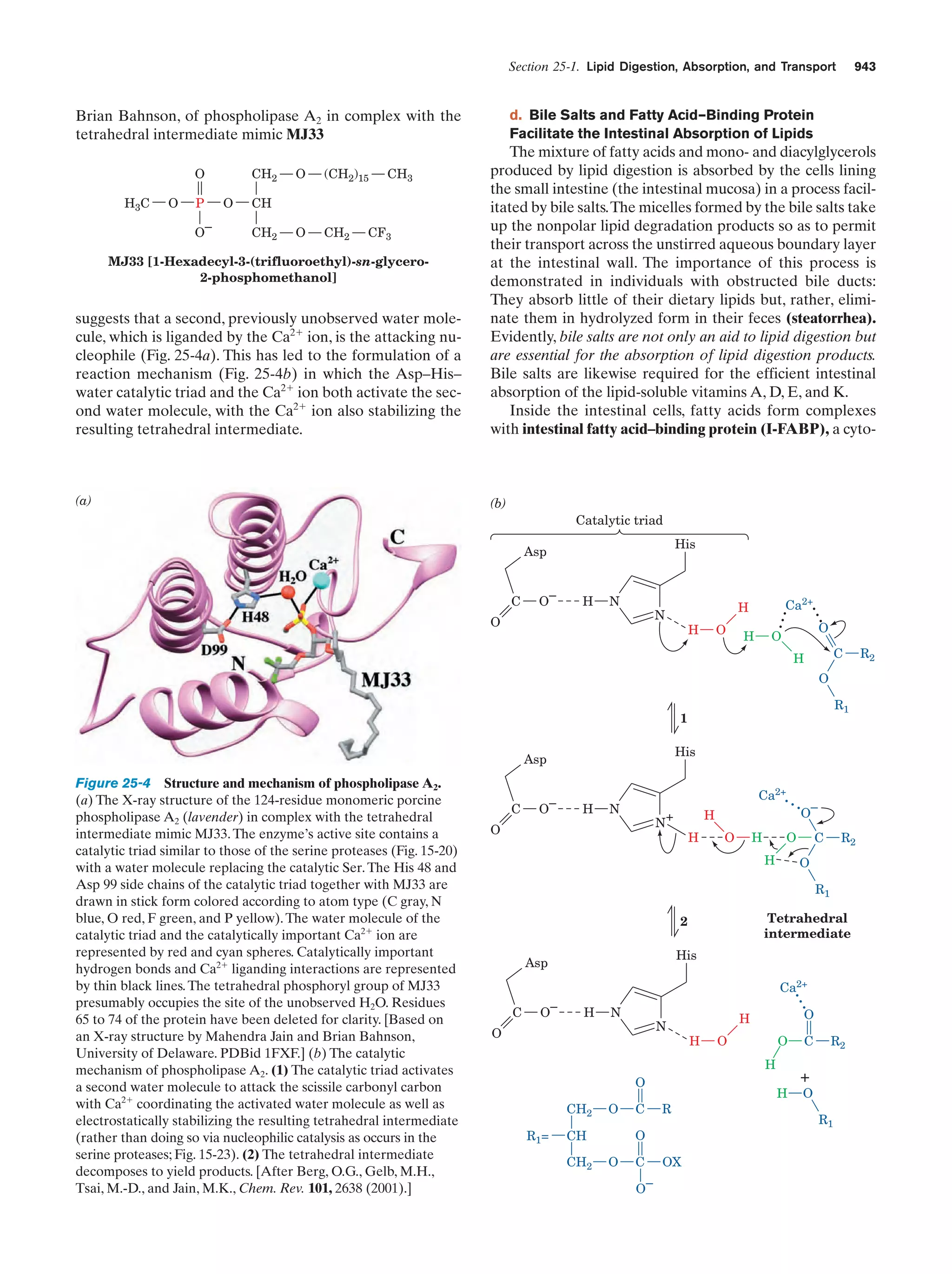 Biochemistry.4th.edition