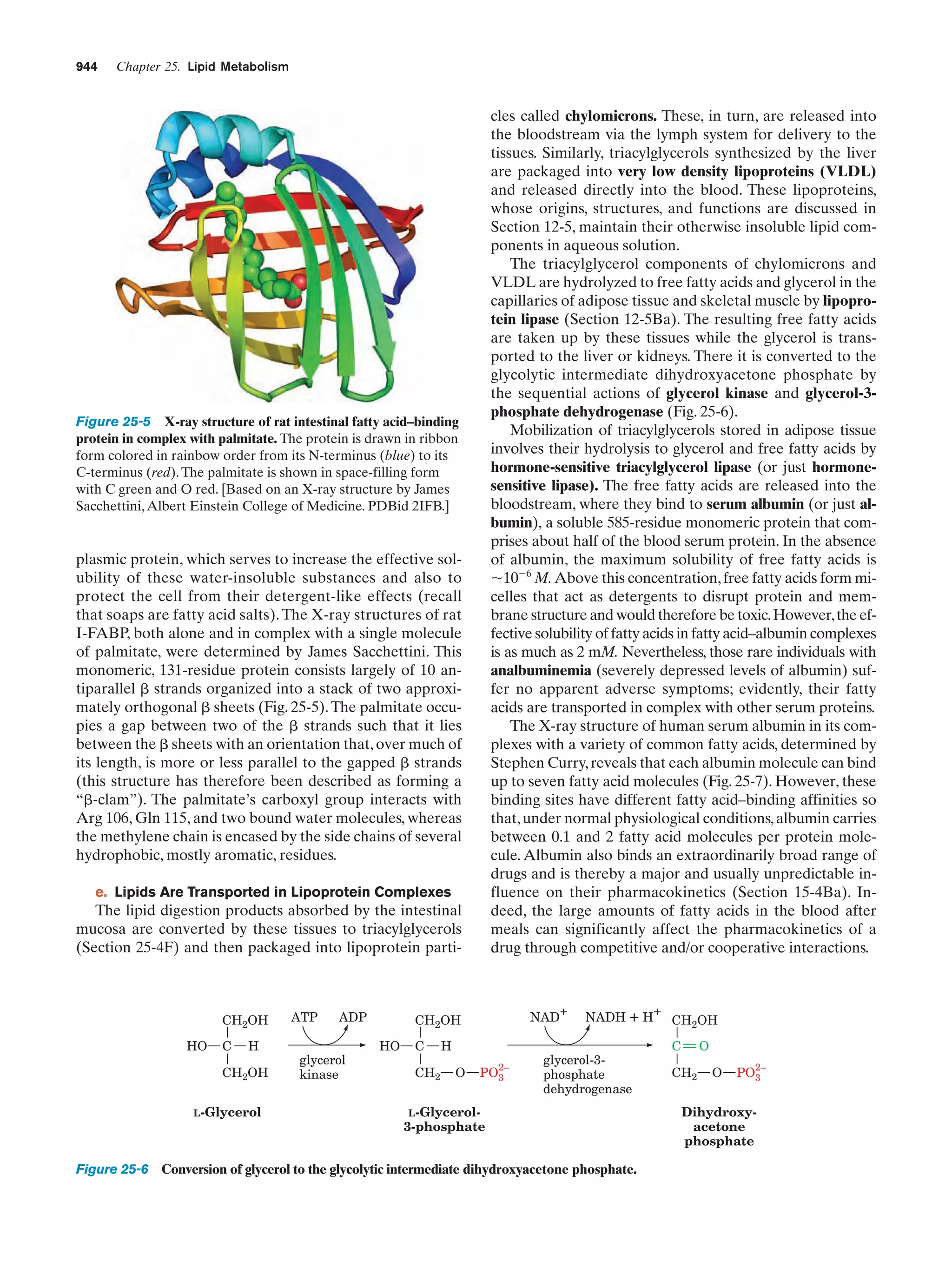 Biochemistry.4th.edition