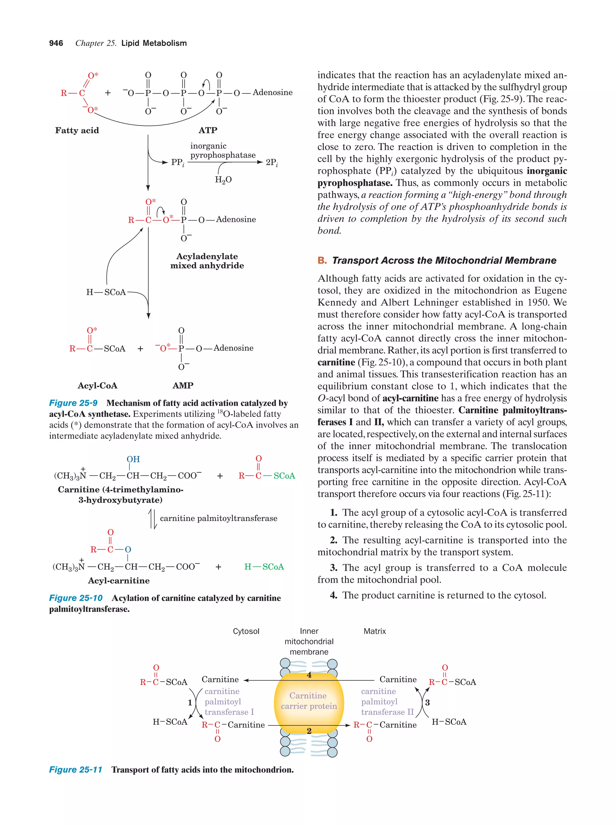 Biochemistry.4th.edition
