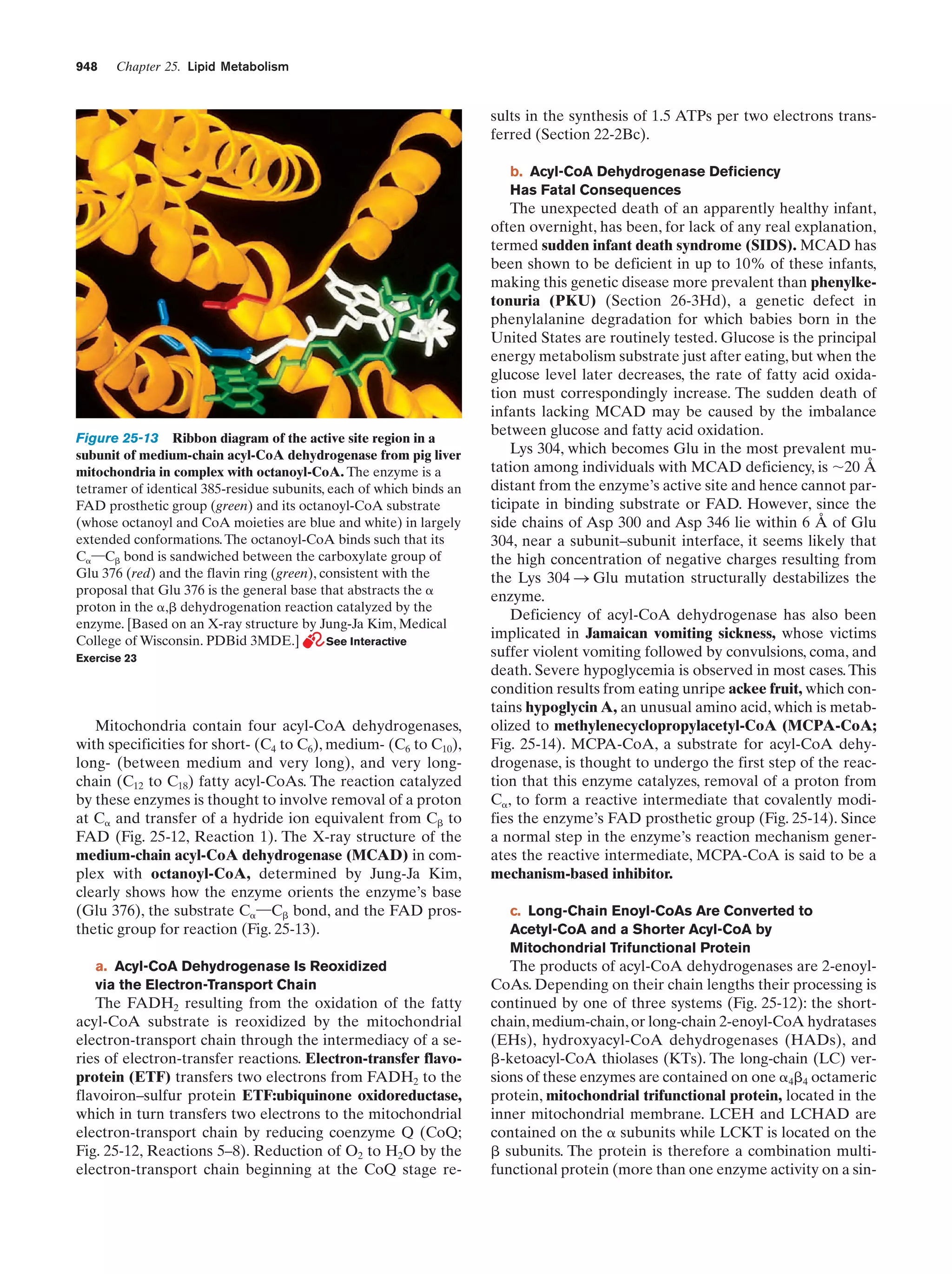 Biochemistry.4th.edition